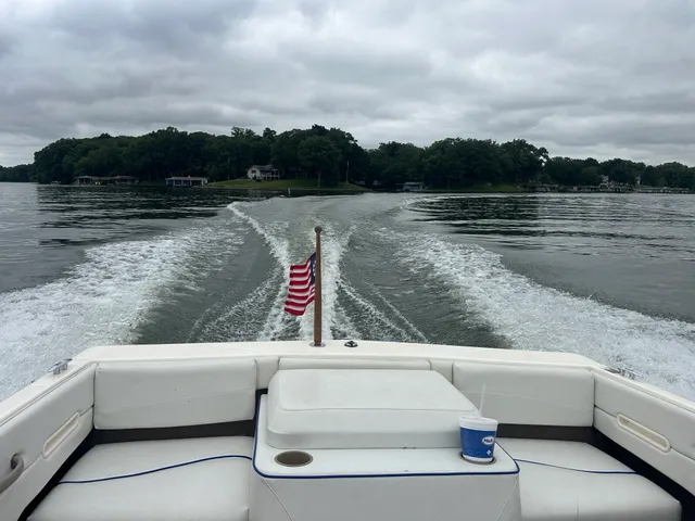 Rent a BAYLINER bow rider in Watson, IL near me