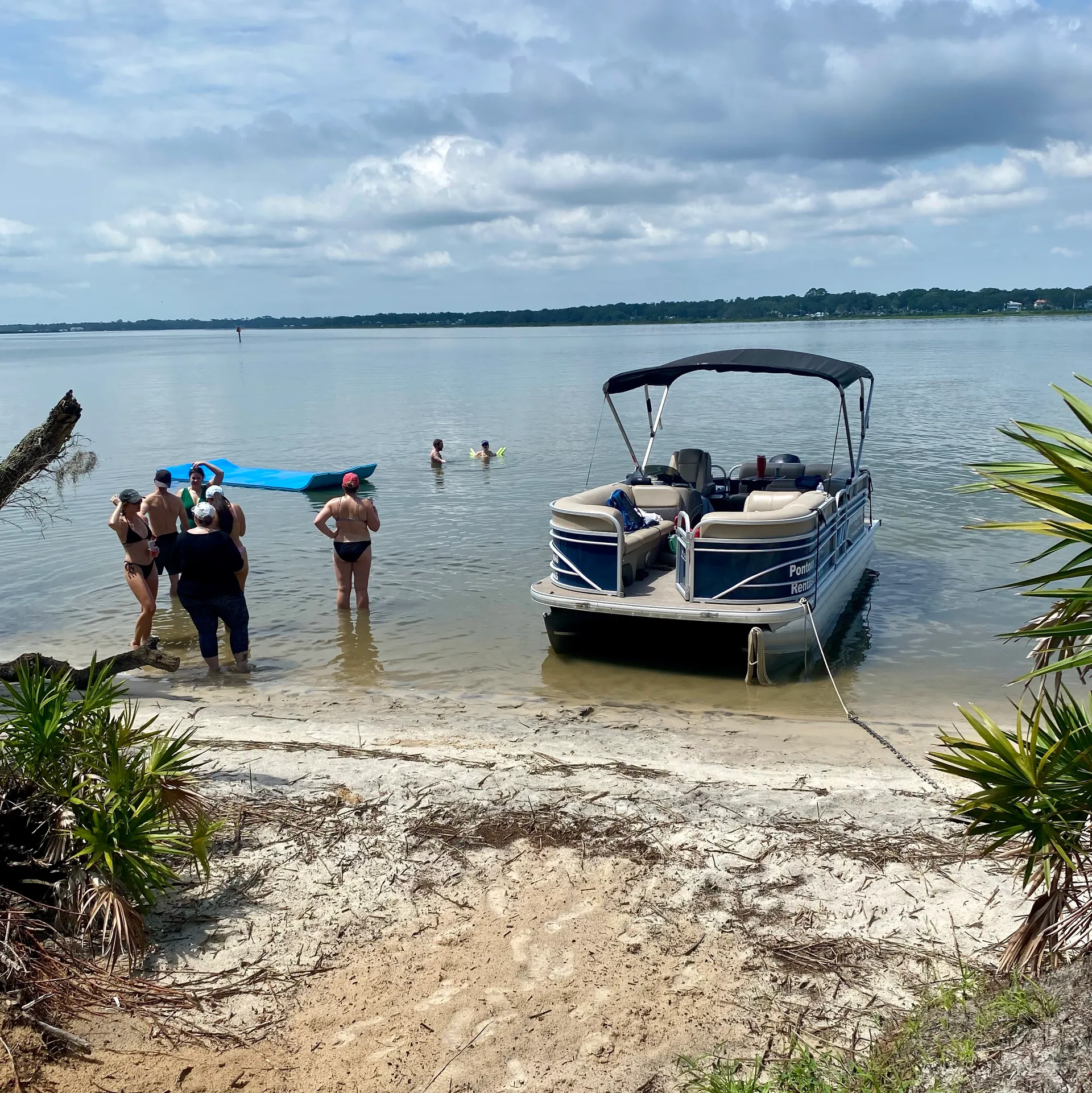 Private charter,bachelorette,family,bachelor,friends,dolphins, sunsets