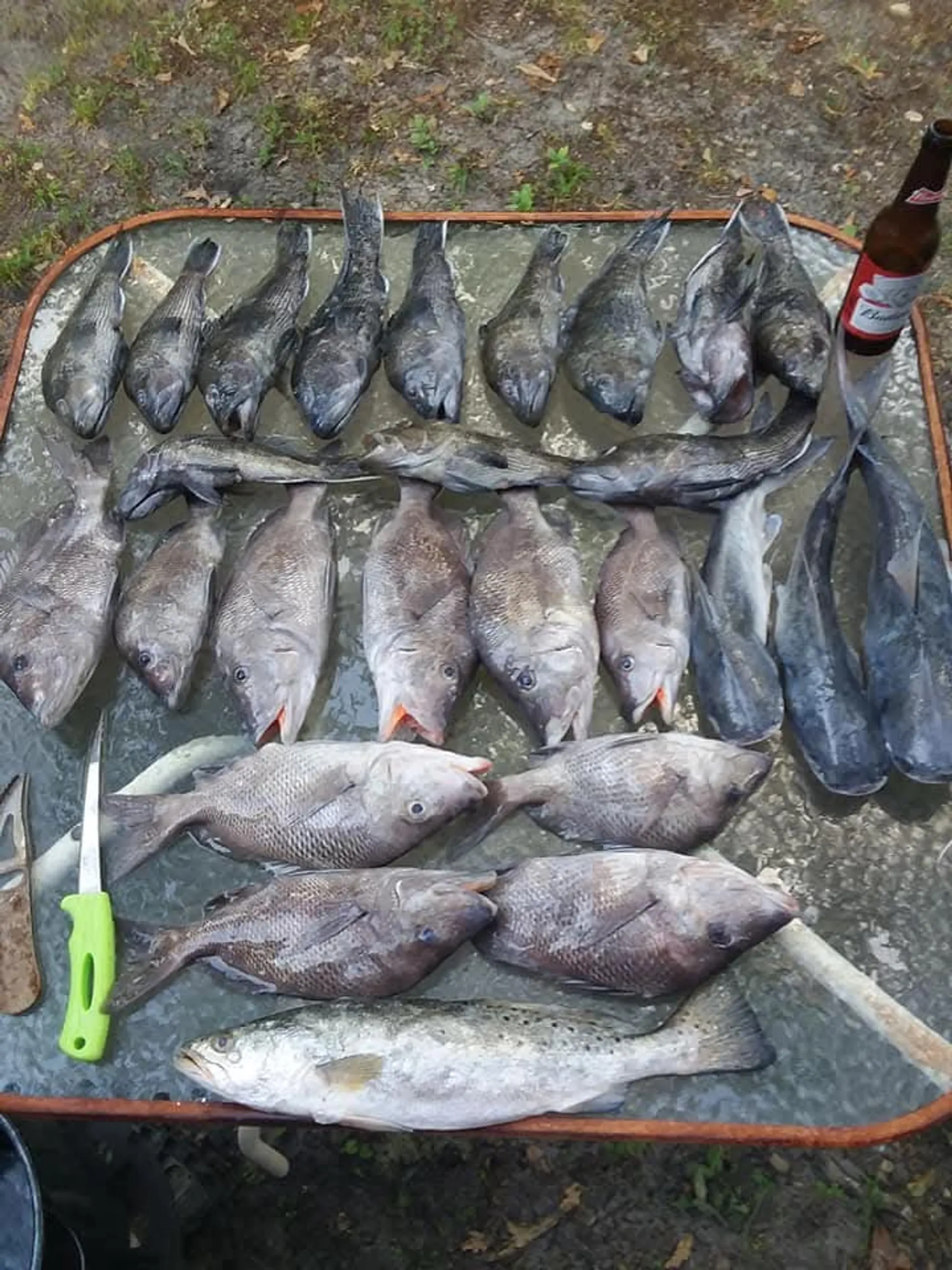 850 Fabolous Fishing Boat Experience