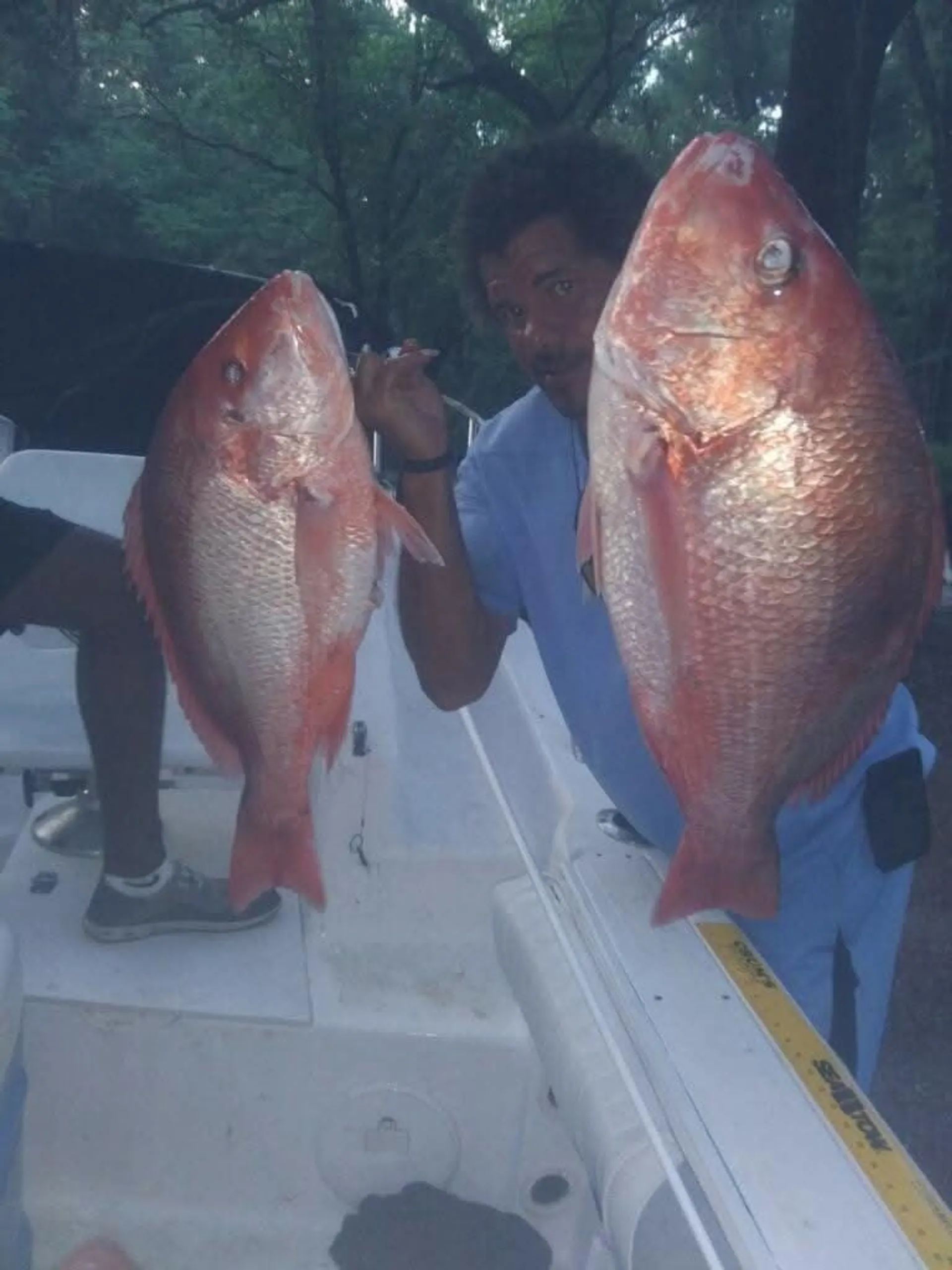 850 Fabolous Fishing Boat Experience