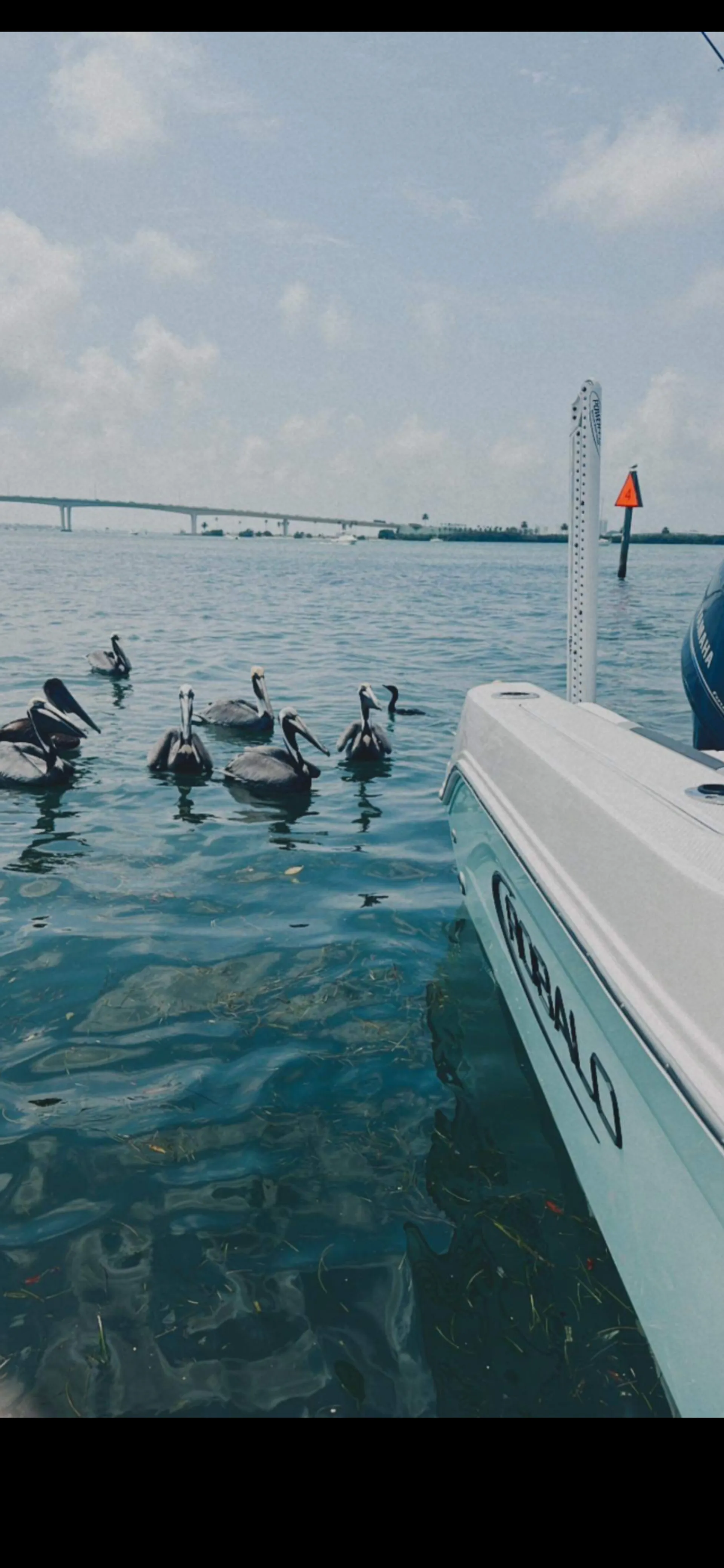 2023 Robalo R200 20 Ft. Center Console Fishing Boat.