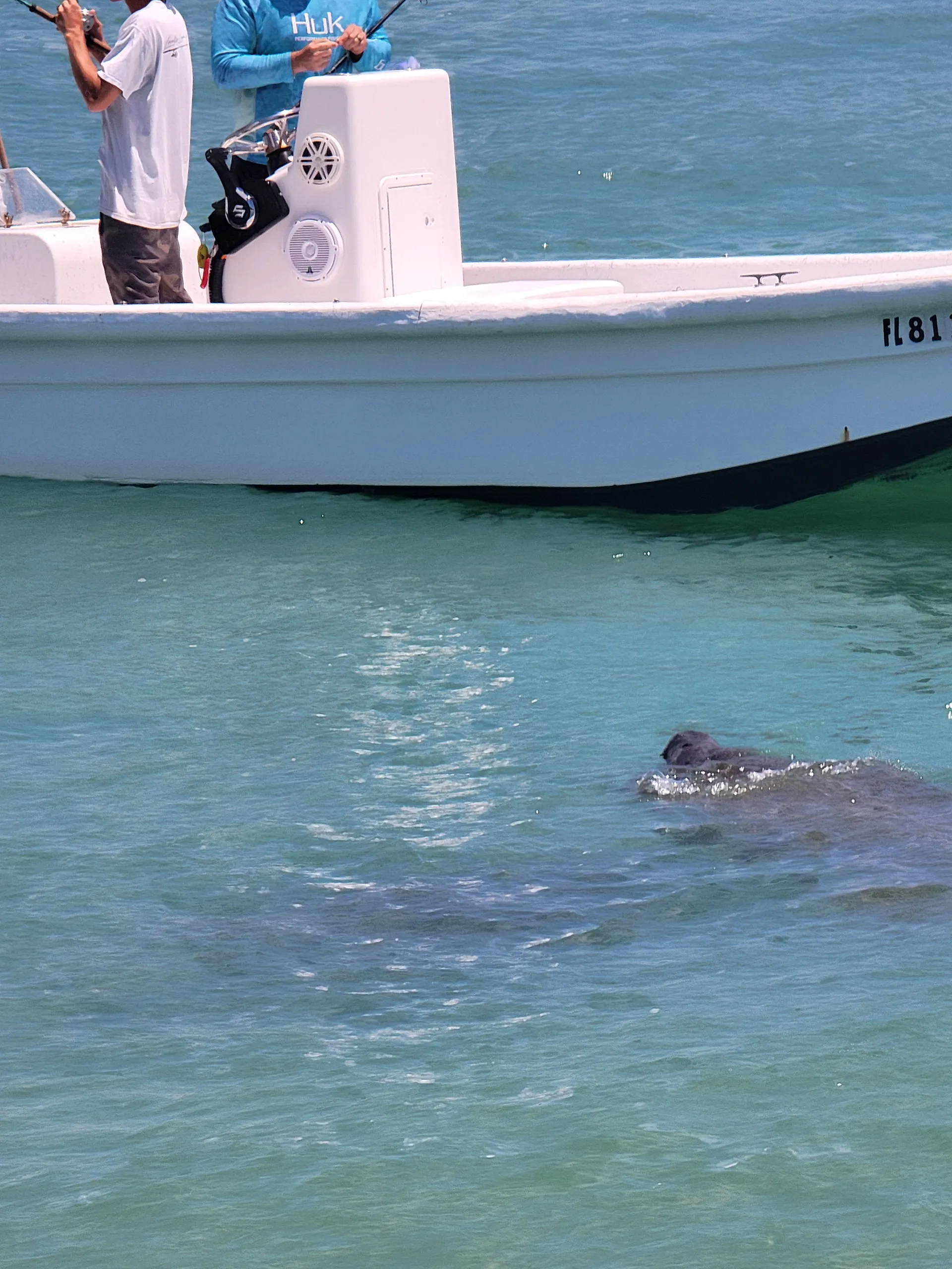 Luxury Boat Rentals | Explore Anna Maria Island in Style Newest in AMI