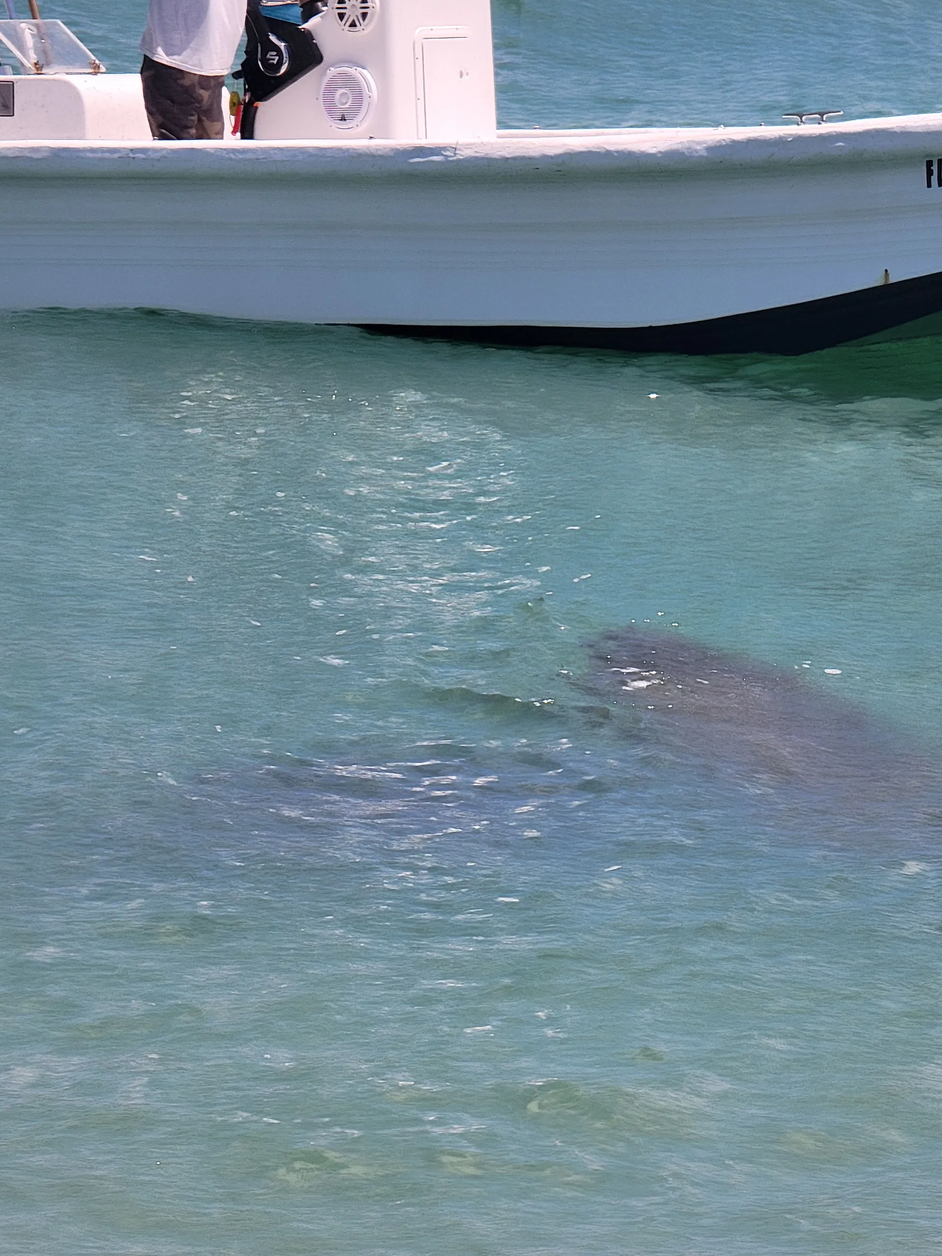 Luxury Boat Rentals | Explore Anna Maria Island in Style Newest in AMI