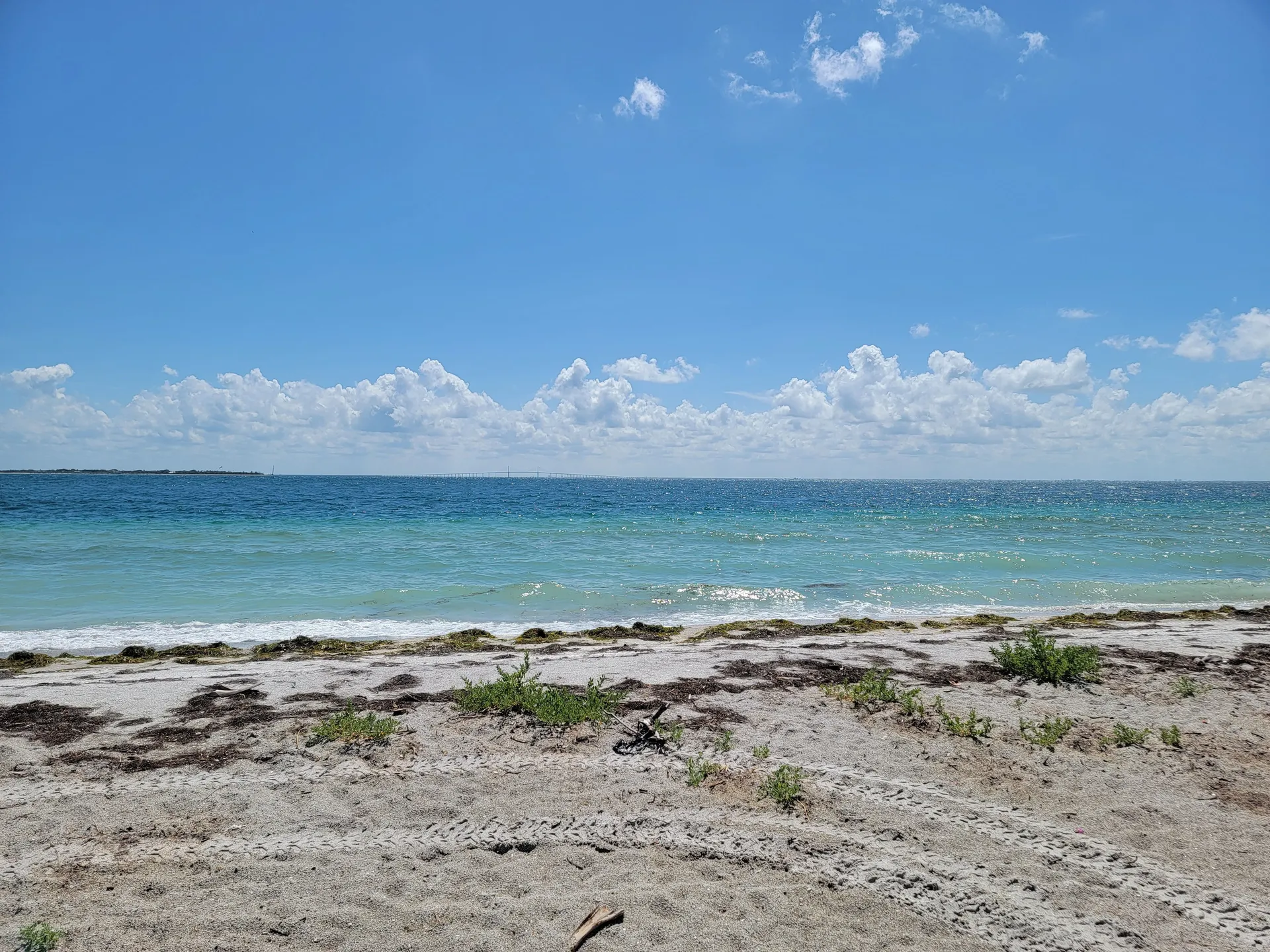 Luxury Boat Rentals | Explore Anna Maria Island in Style Newest in AMI
