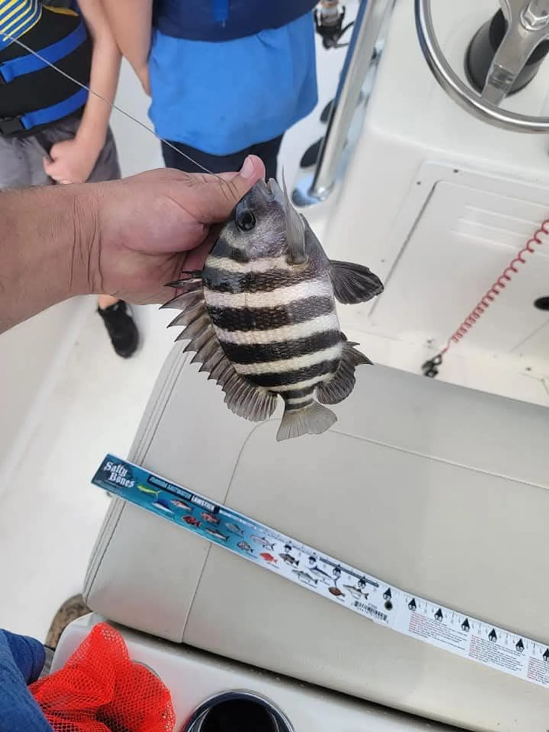 Luxury Boat Rentals | Explore Anna Maria Island in Style Newest in AMI