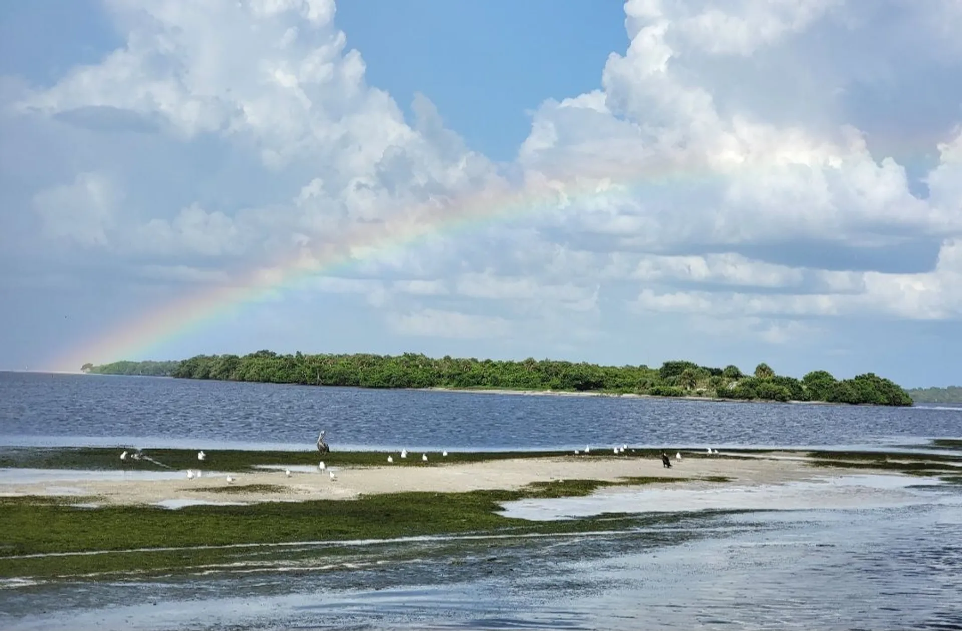 Luxury Boat Rentals | Explore Anna Maria Island in Style Newest in AMI