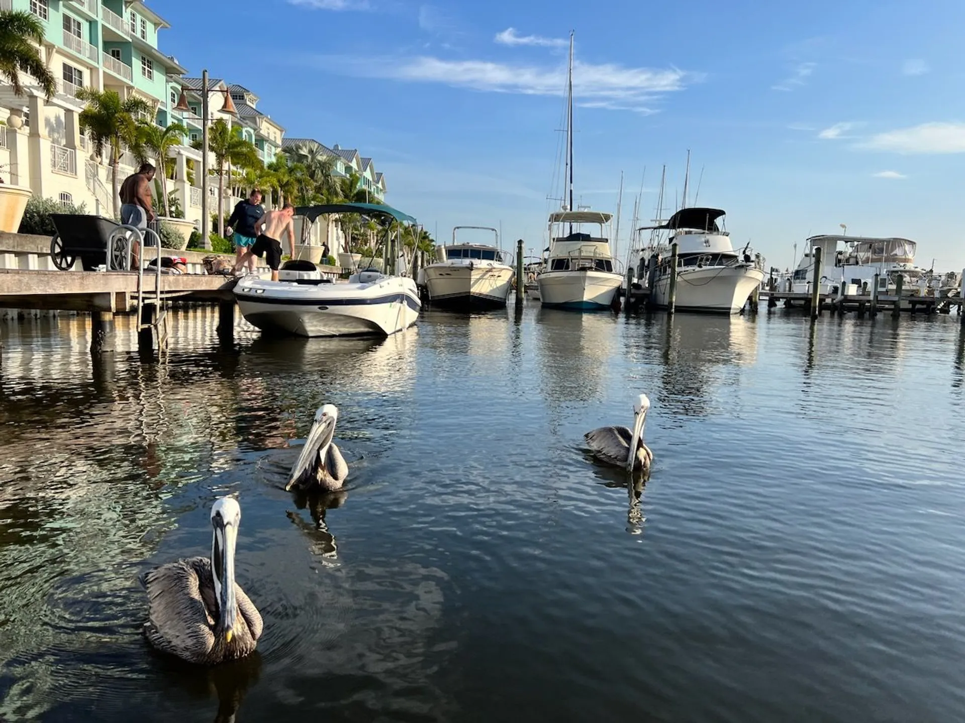 Luxury Boat Rentals | Explore Anna Maria Island in Style Newest in AMI