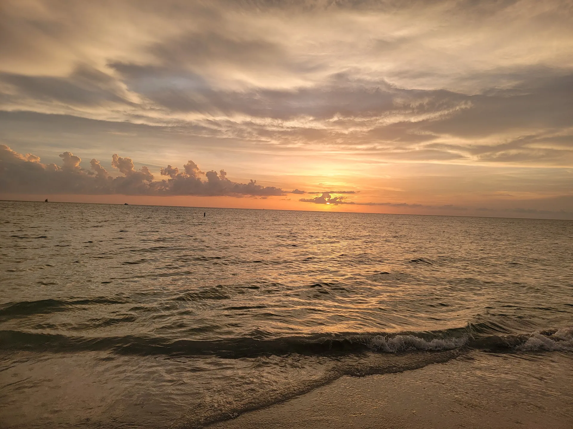 Luxury Boat Rentals | Explore Anna Maria Island in Style Newest in AMI