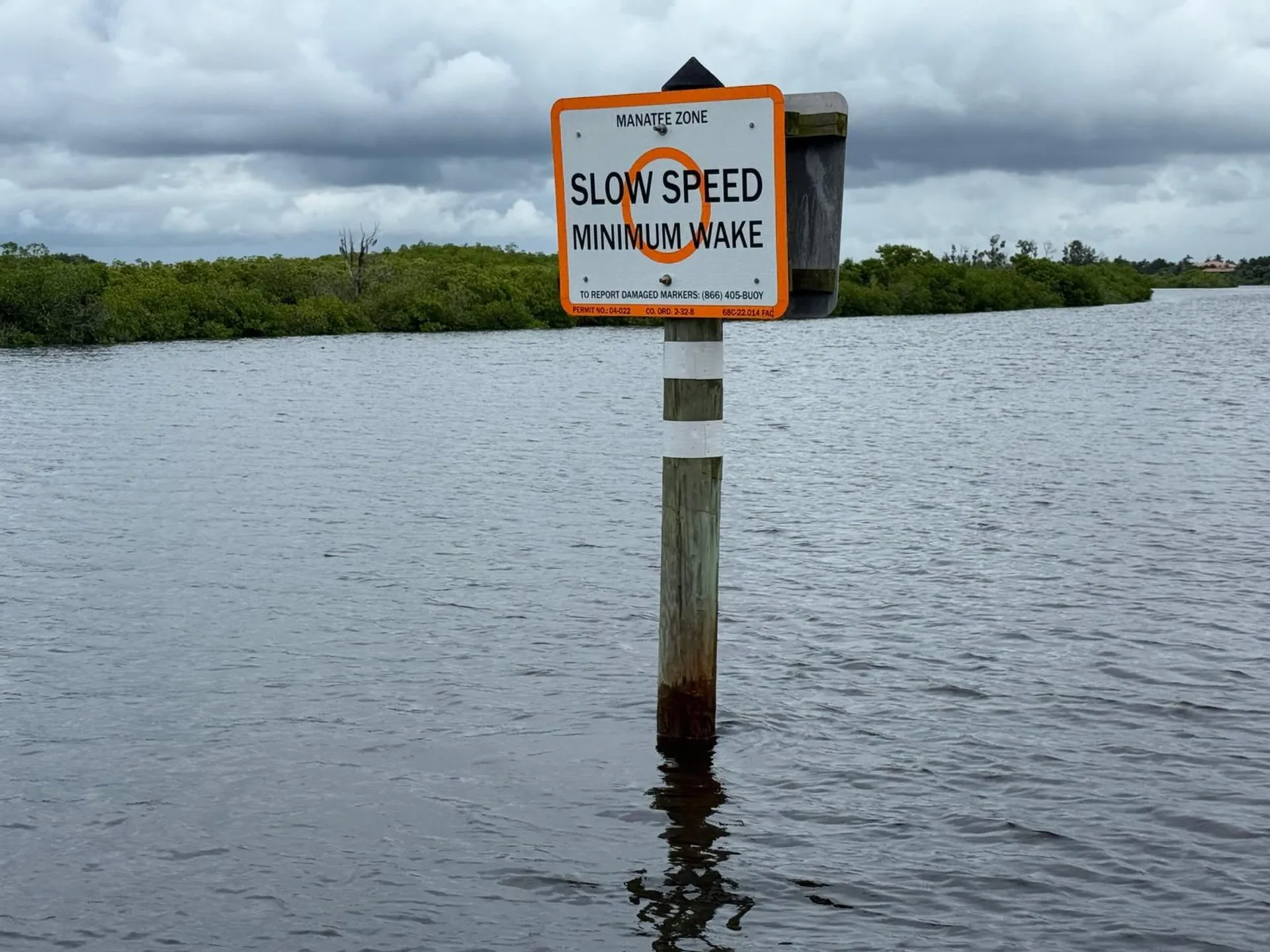 Luxury Boat Rentals | Explore Anna Maria Island in Style Newest in AMI