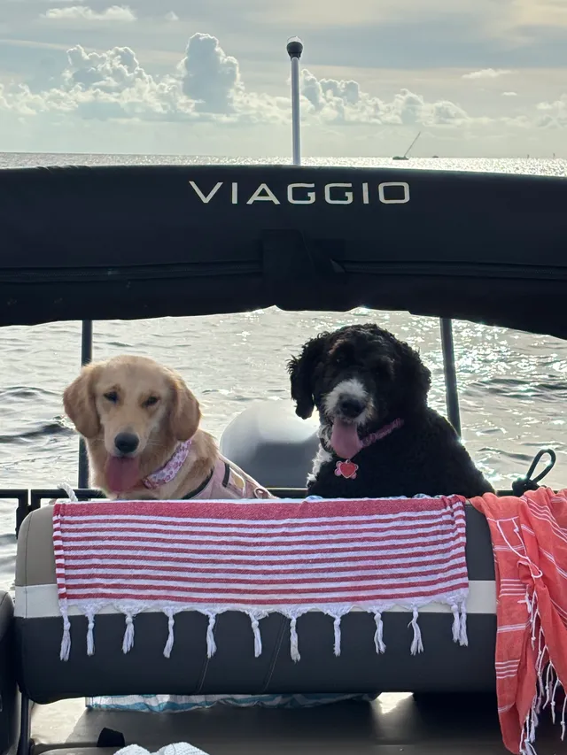 Rent a Viaggio pontoon in Hudson, FL near me