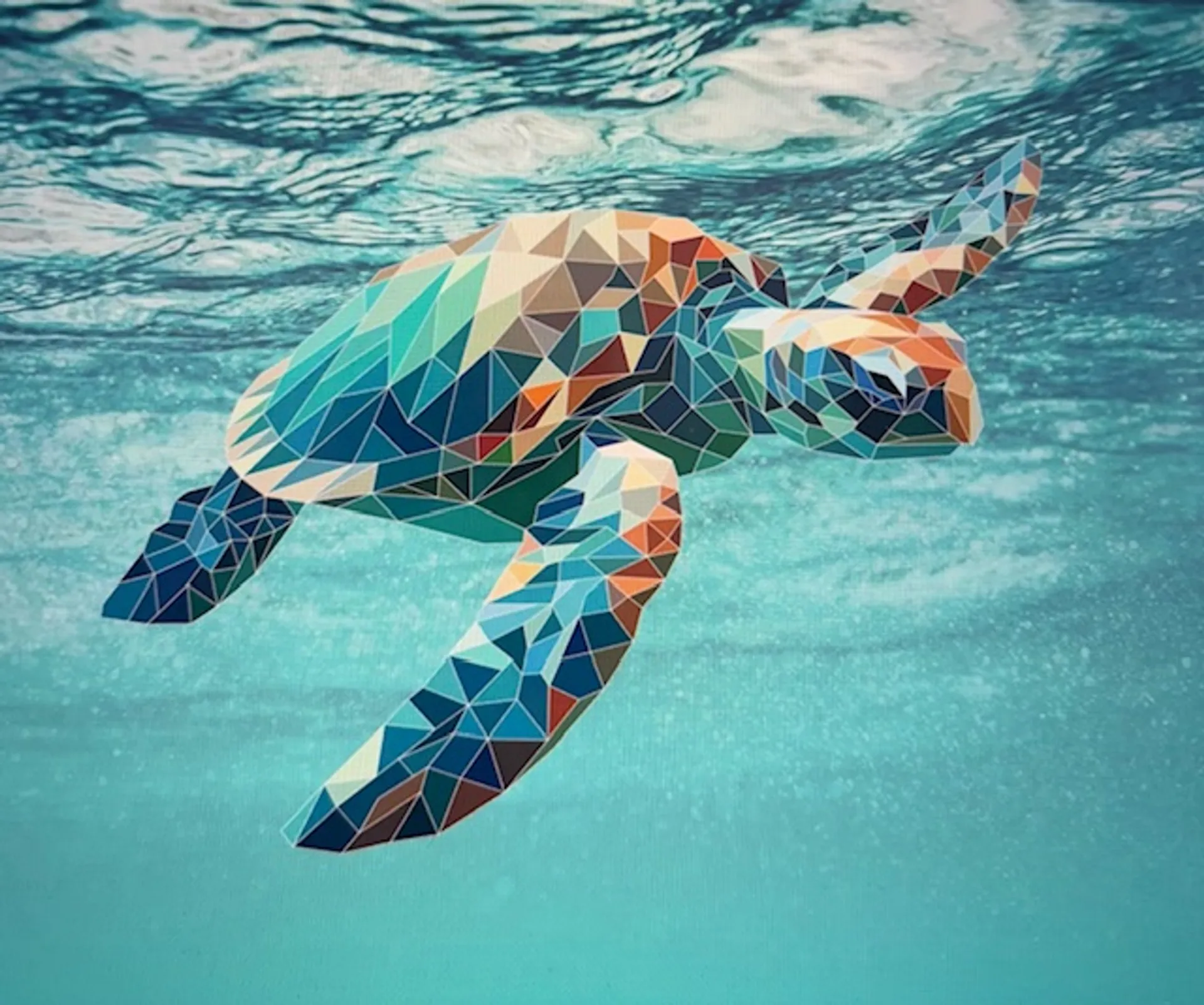 Tortuga Boat Adventures