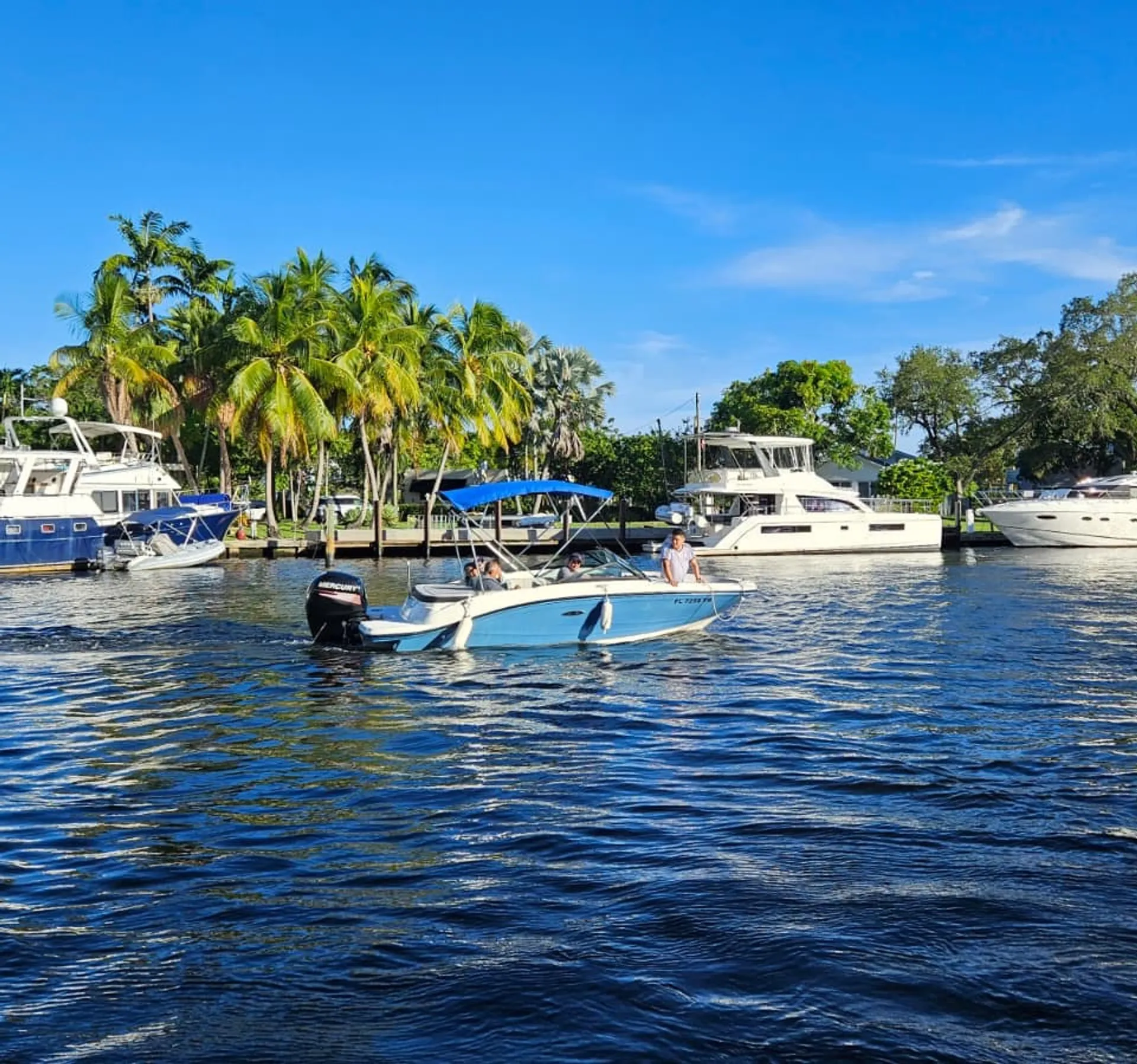 SEA RAY BOATS 190 SPX OB in Fort Lauderdale, FL — photo 8