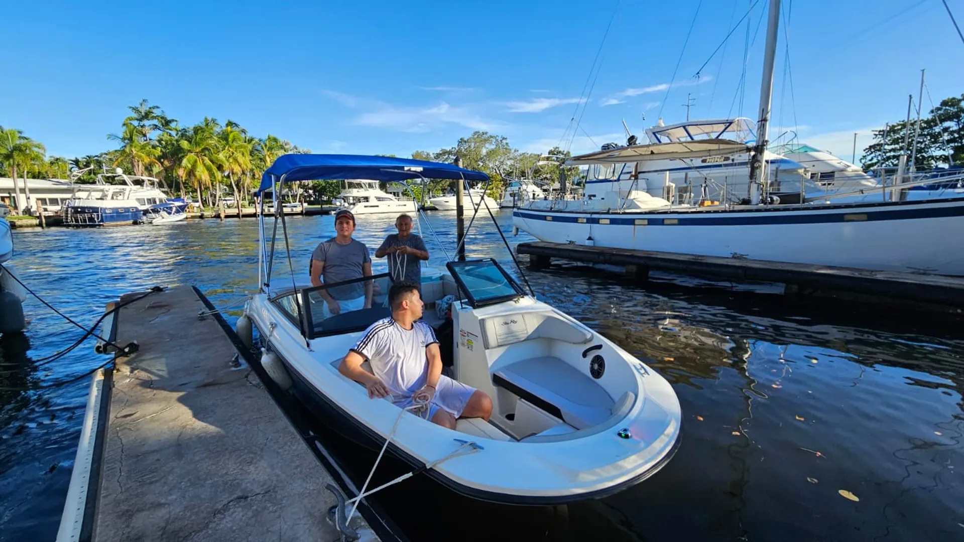 SEA RAY BOATS 190 SPX OB in Fort Lauderdale, FL — photo 3
