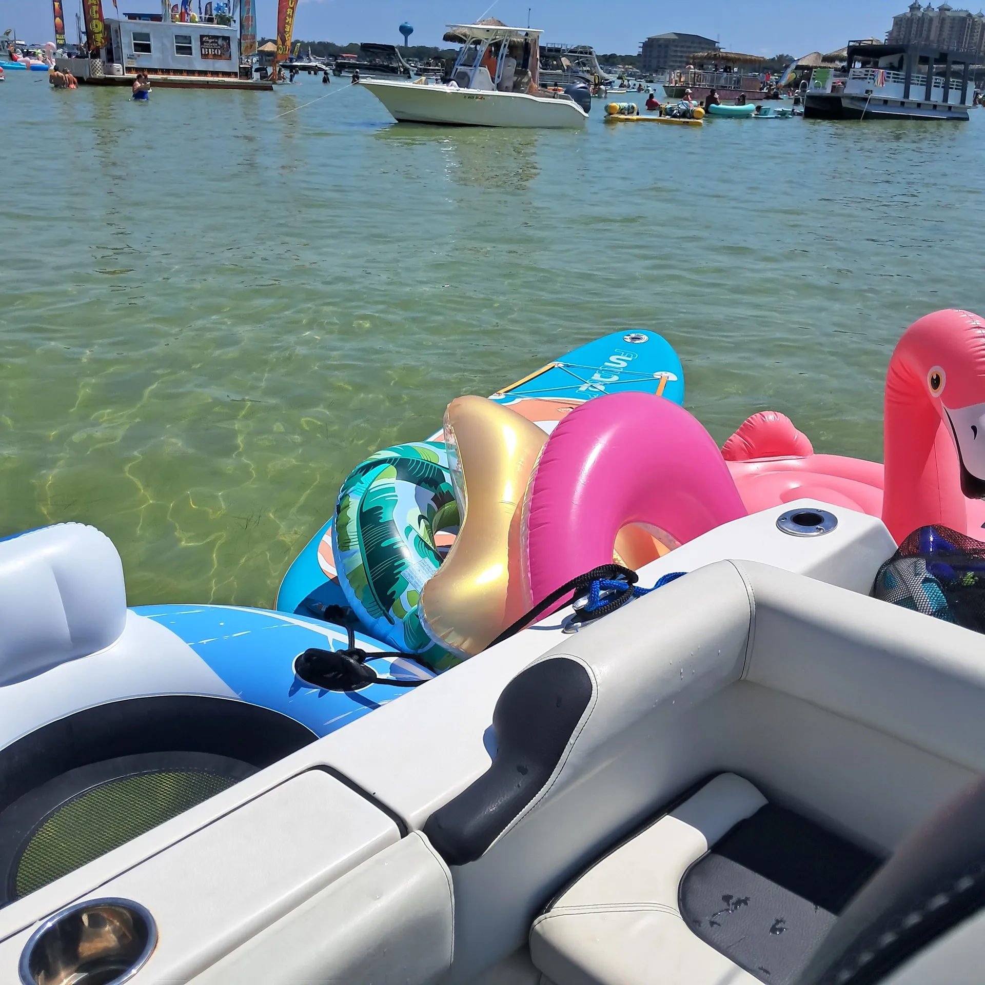 Crab Island Trips and Boat Tours