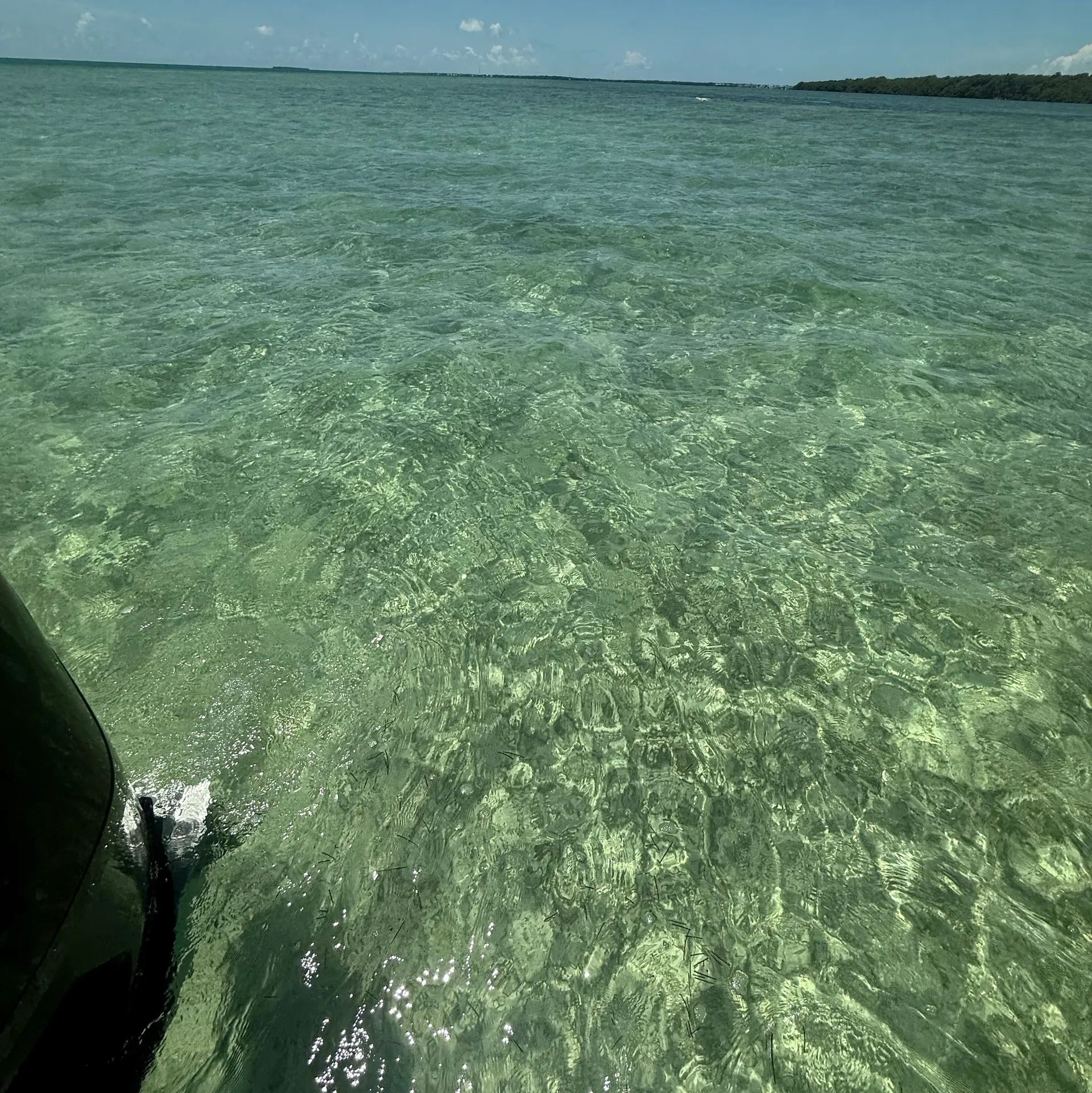 TAHOE BY TRACKER MARINE T21 in Key Largo, FL — photo 10
