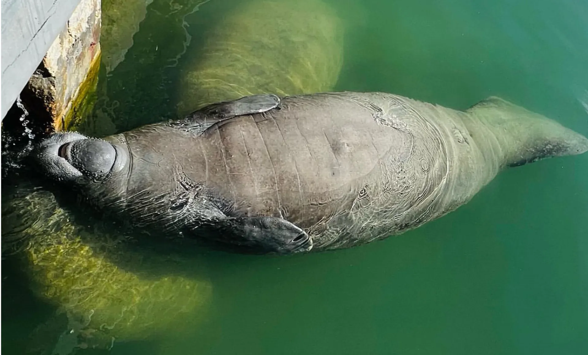 Scenic boat tour on 25-foot Sea Fox Commander