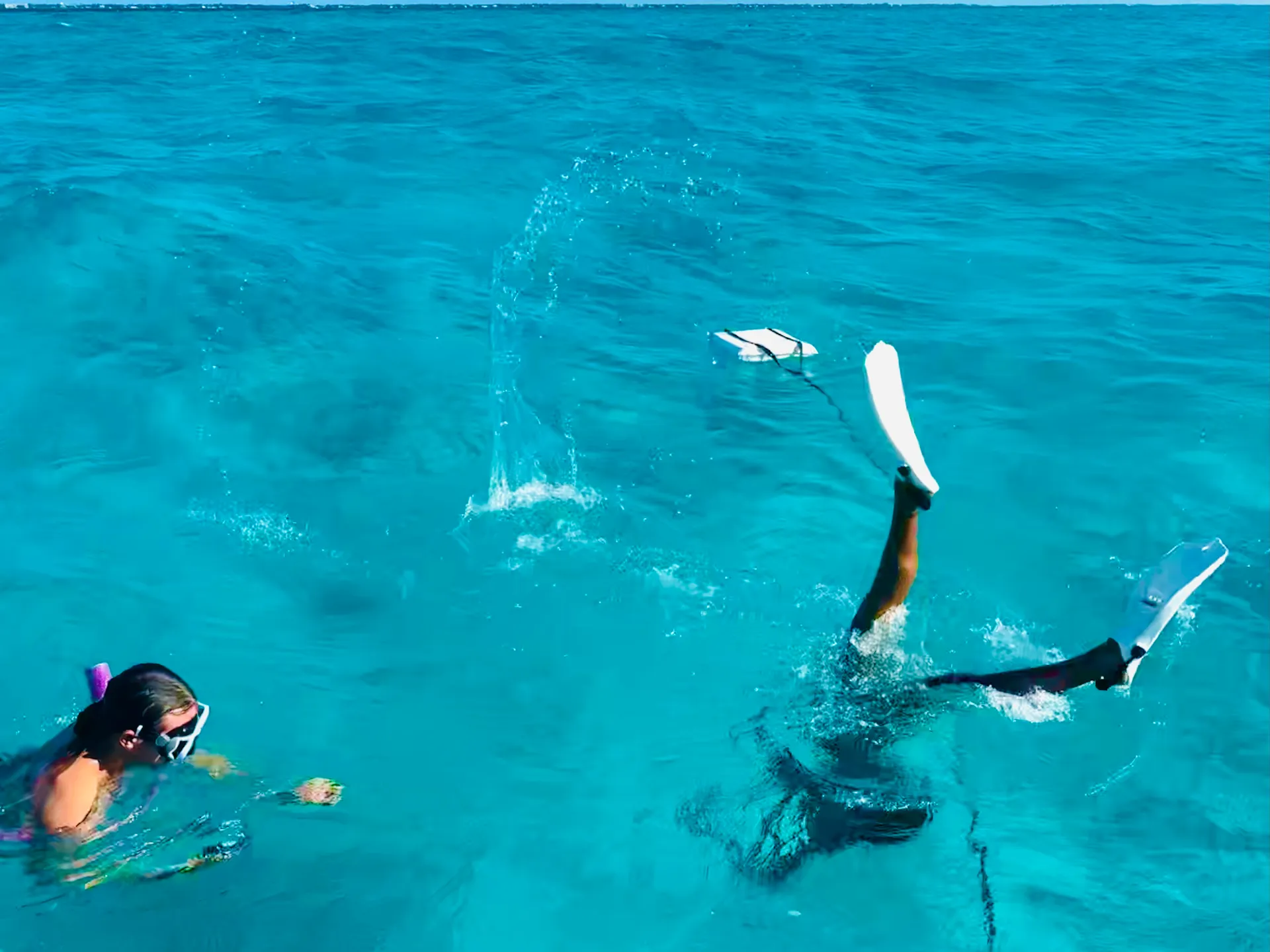 Scenic boat tour on 25-foot Sea Fox Commander