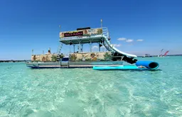 Tiki Themed Hula-Mama 30 ft pontoon 2slides 150 HP Fuel Included  boat photo