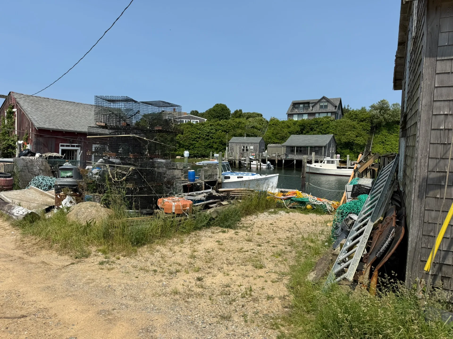 Relax, Cruise and Dine — Discover the Palm Beaches by Water!