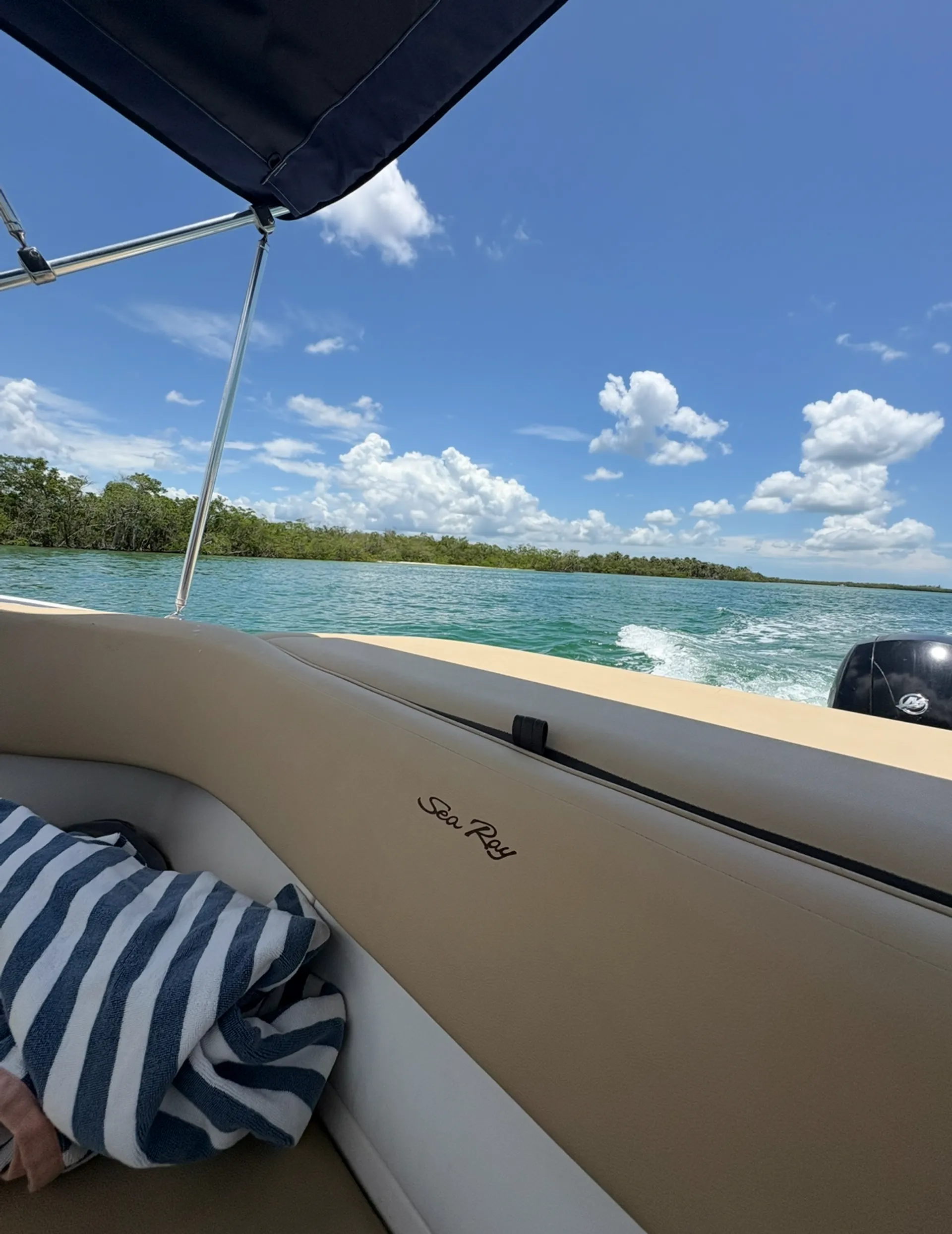 SEA RAY BOATS 19 SPX W/TRLR in Fort Myers, FL — photo 2