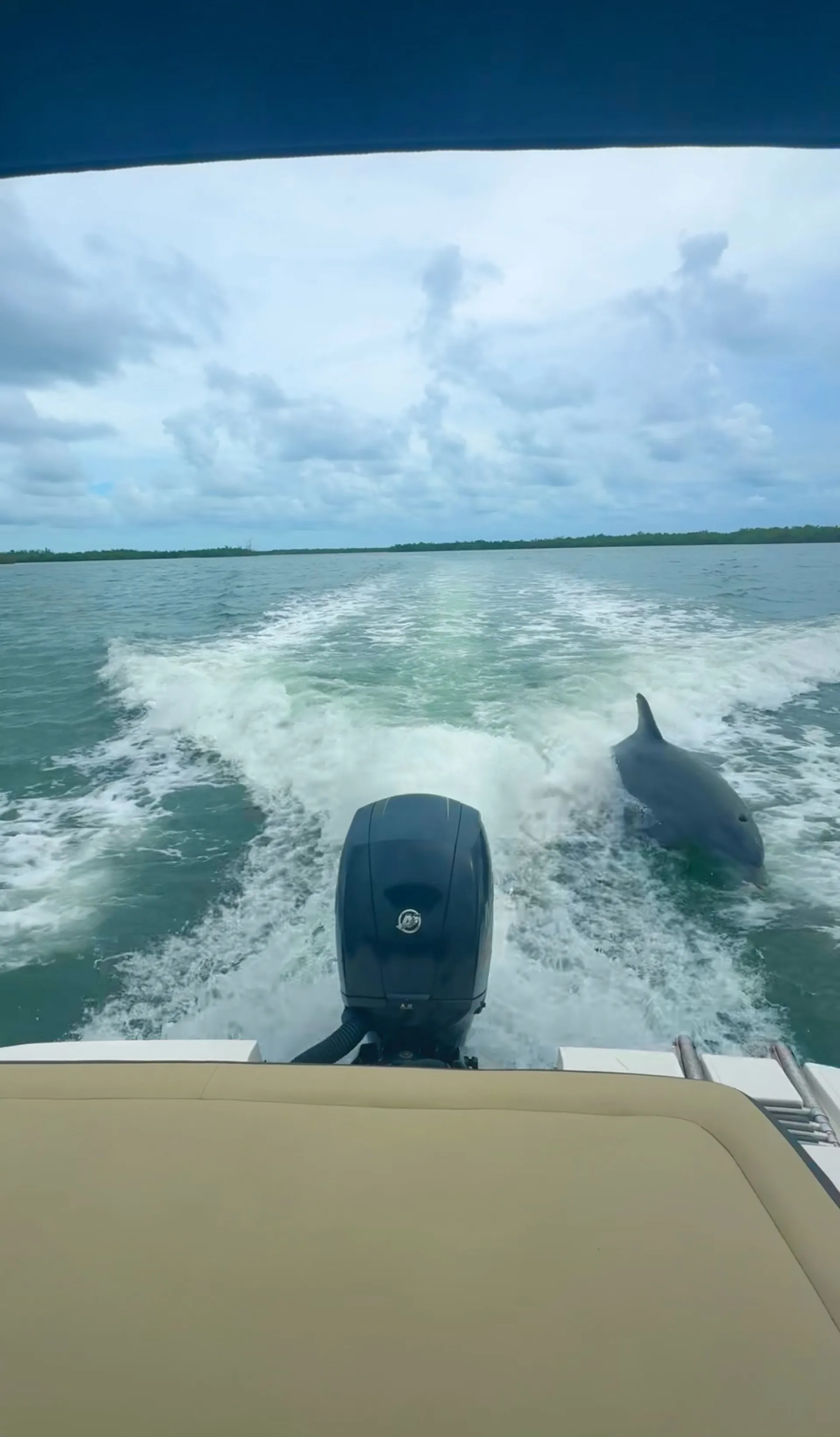 SEA RAY BOATS 19 SPX W/TRLR in Fort Myers, FL — photo 3