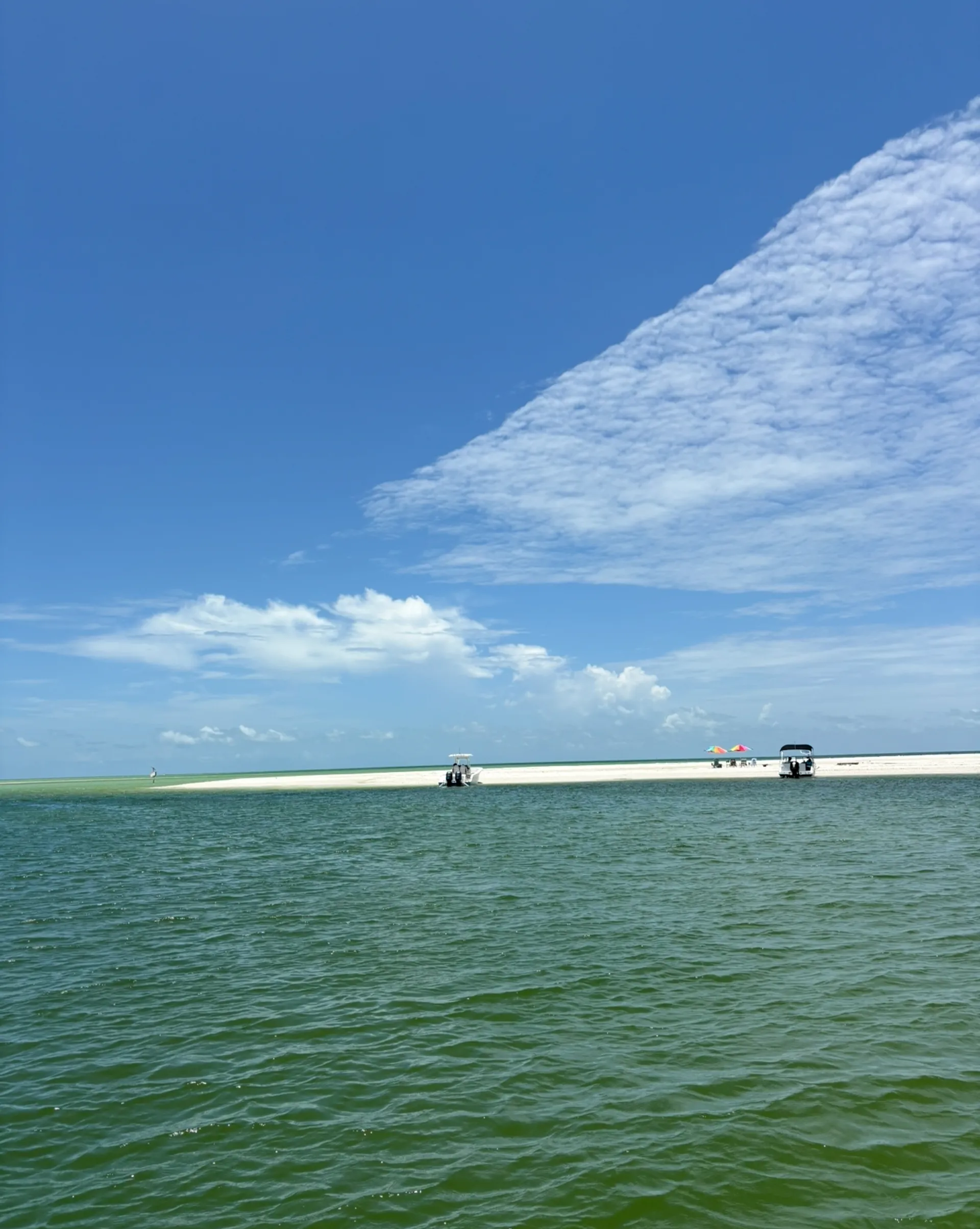 SEA RAY BOATS 19 SPX W/TRLR in Fort Myers, FL — photo 5
