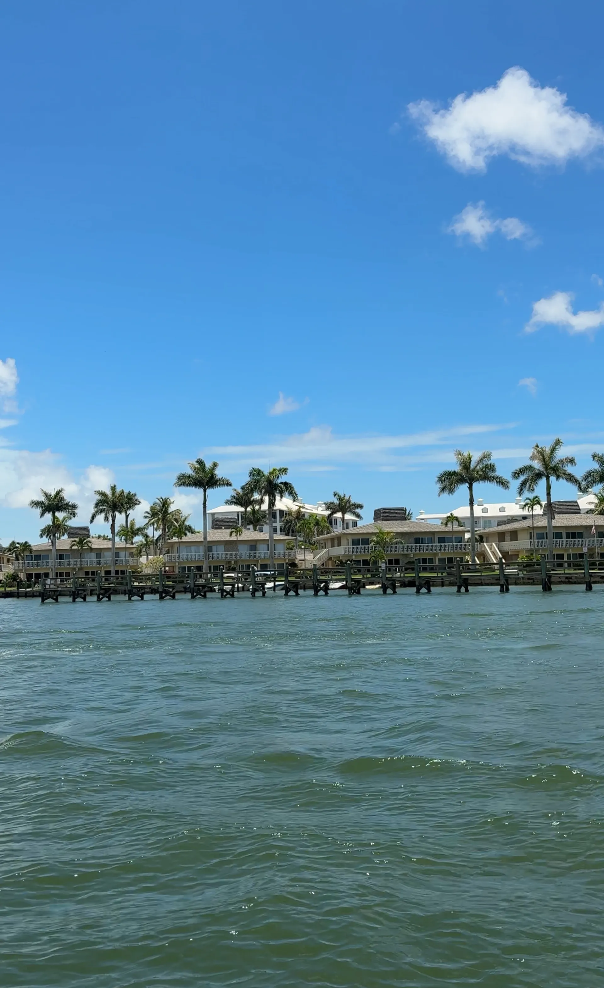 SEA RAY BOATS 19 SPX W/TRLR in Fort Myers, FL — photo 6