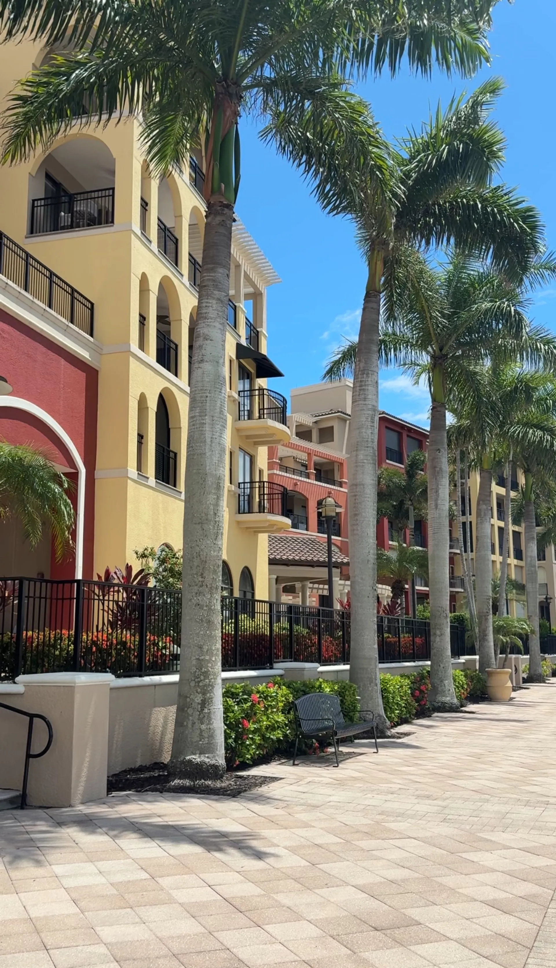 SEA RAY BOATS 19 SPX W/TRLR in Fort Myers, FL — photo 8