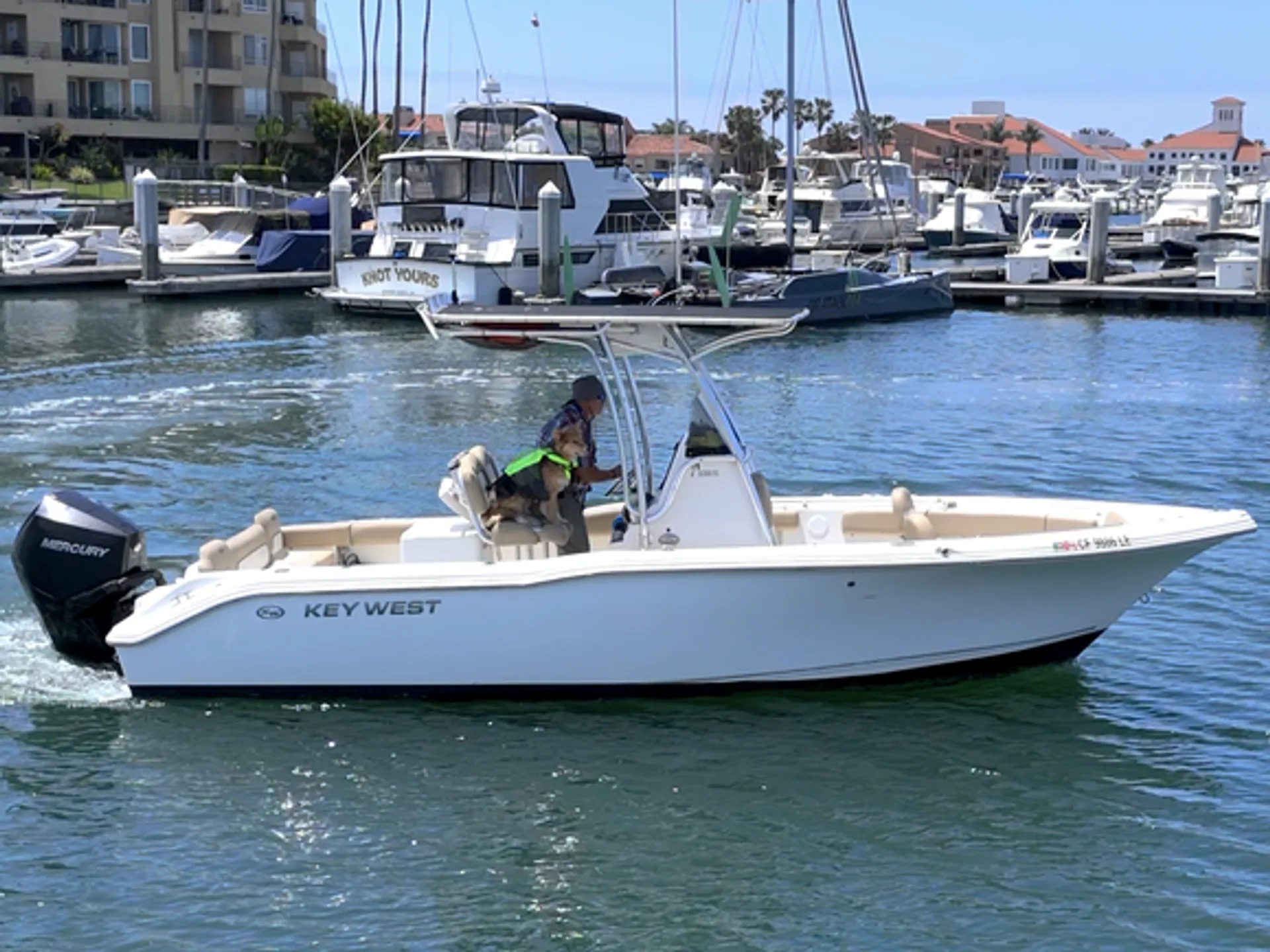 boat