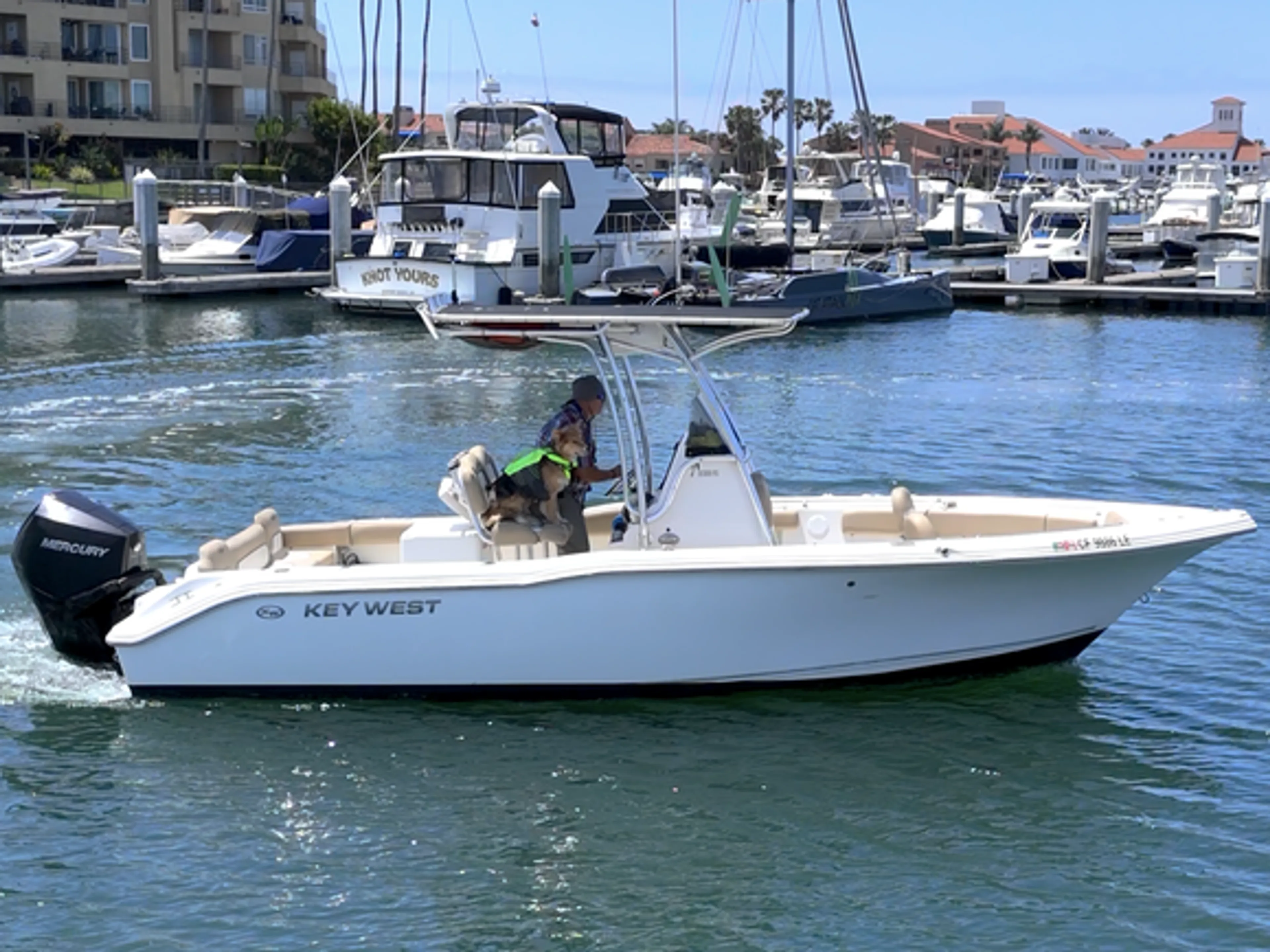 boat