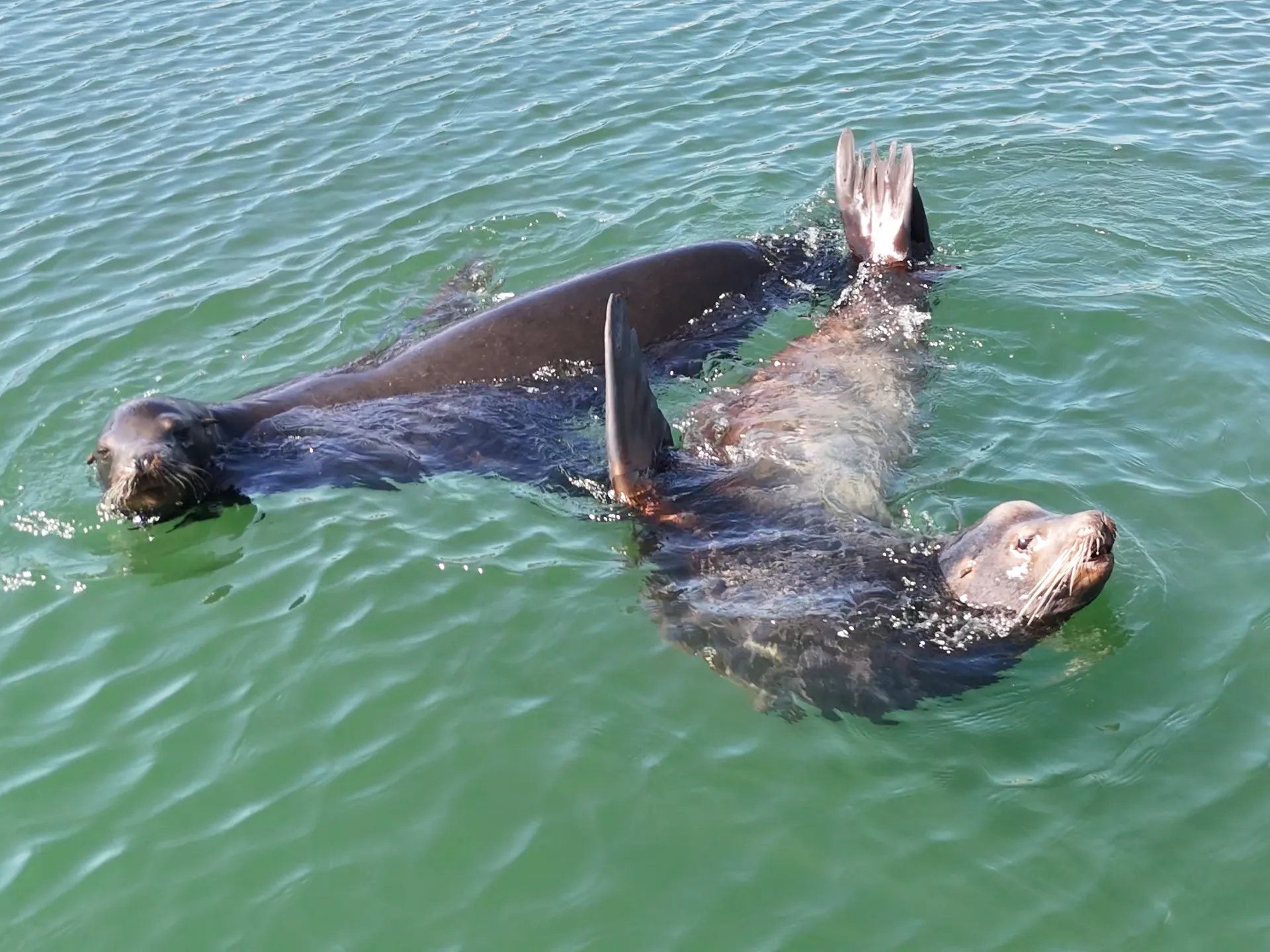 2022 Defiance Admiral, Friendly Fishing Adventures with "El Pescador"