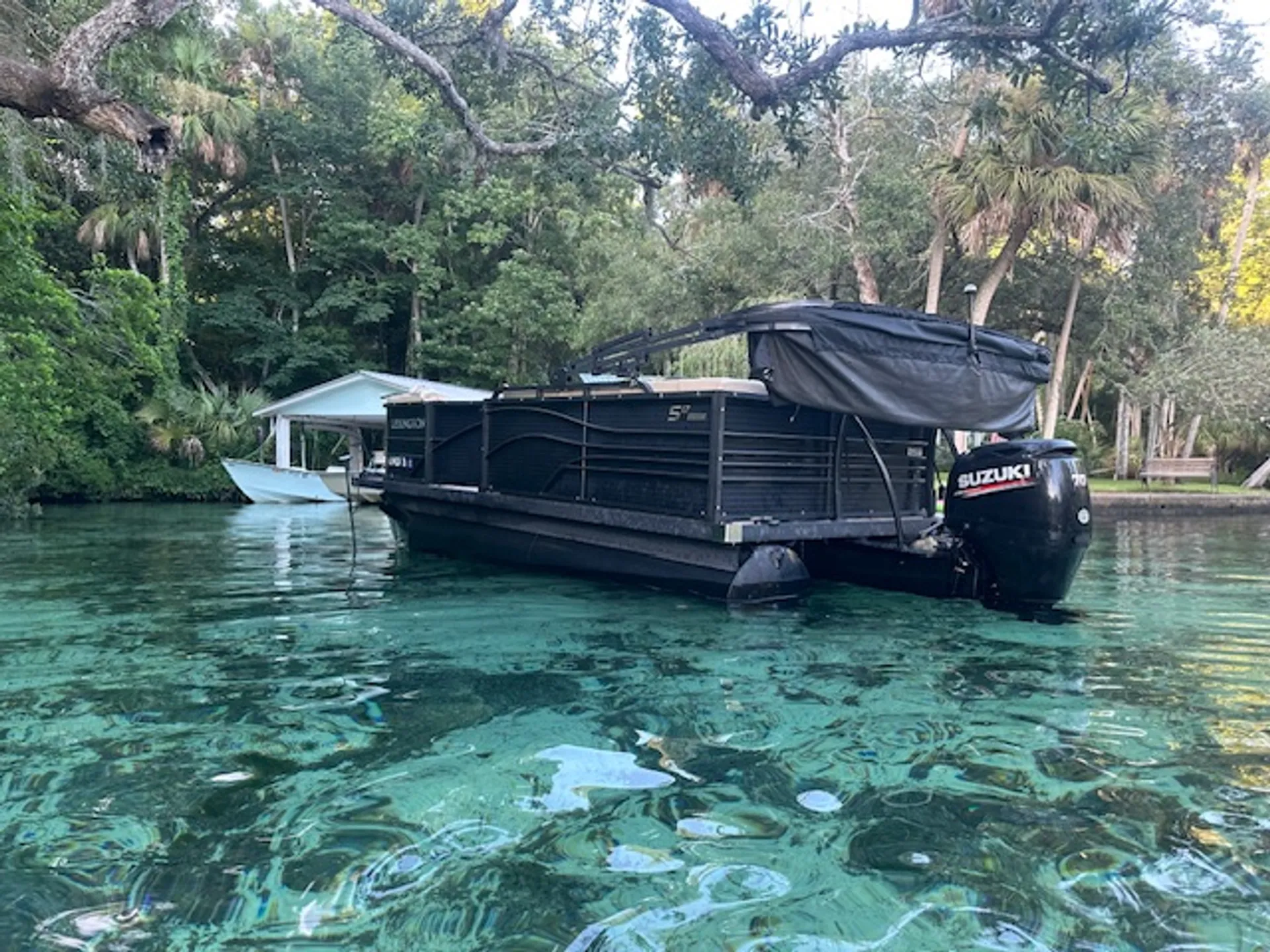 17' FISH SCALLOP SWIM WITH MANATEES