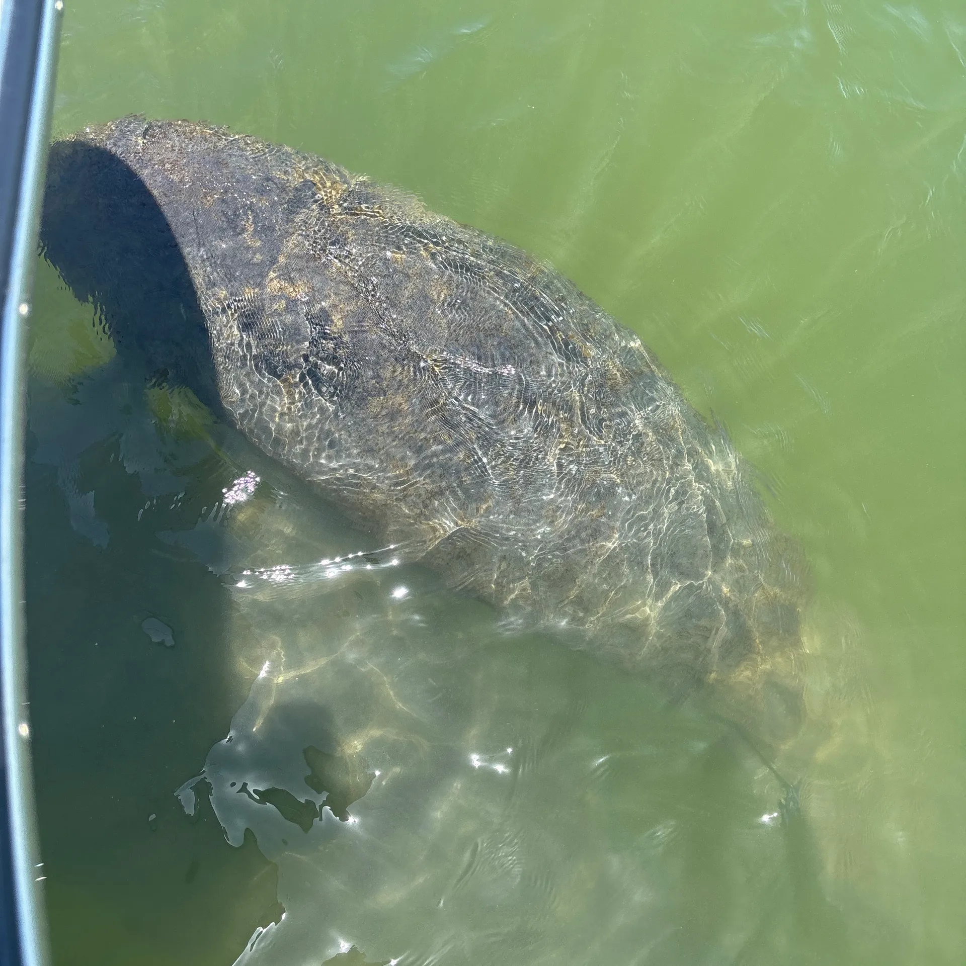 Boating in Pure Luxury