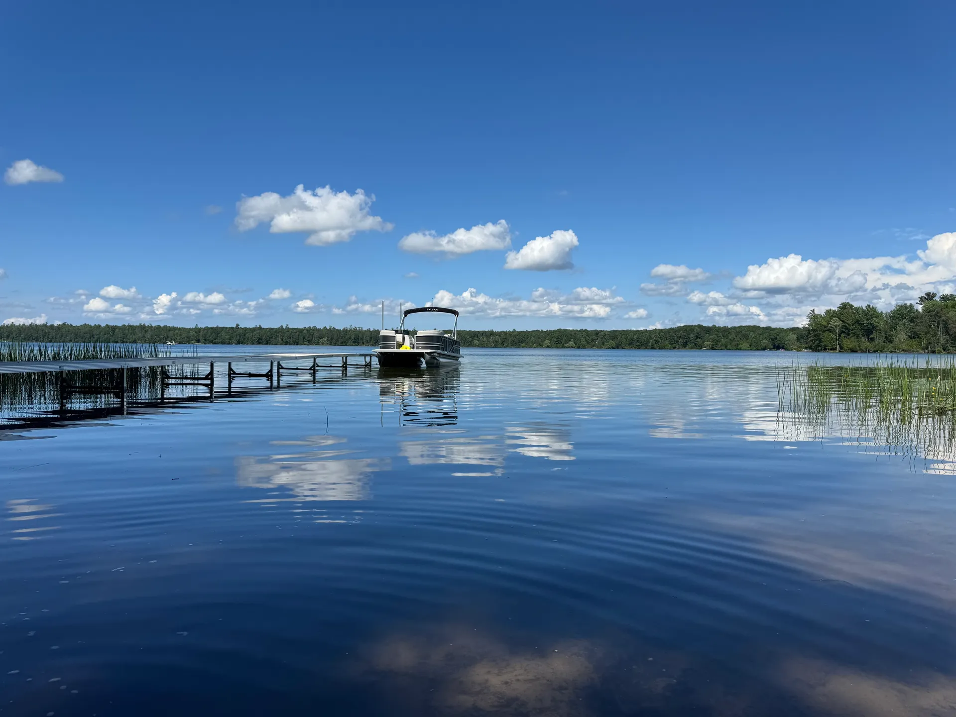 SYLVAN MARINE 8522 MIRAGE PARTY FISH in Interlochen, MI — photo 6