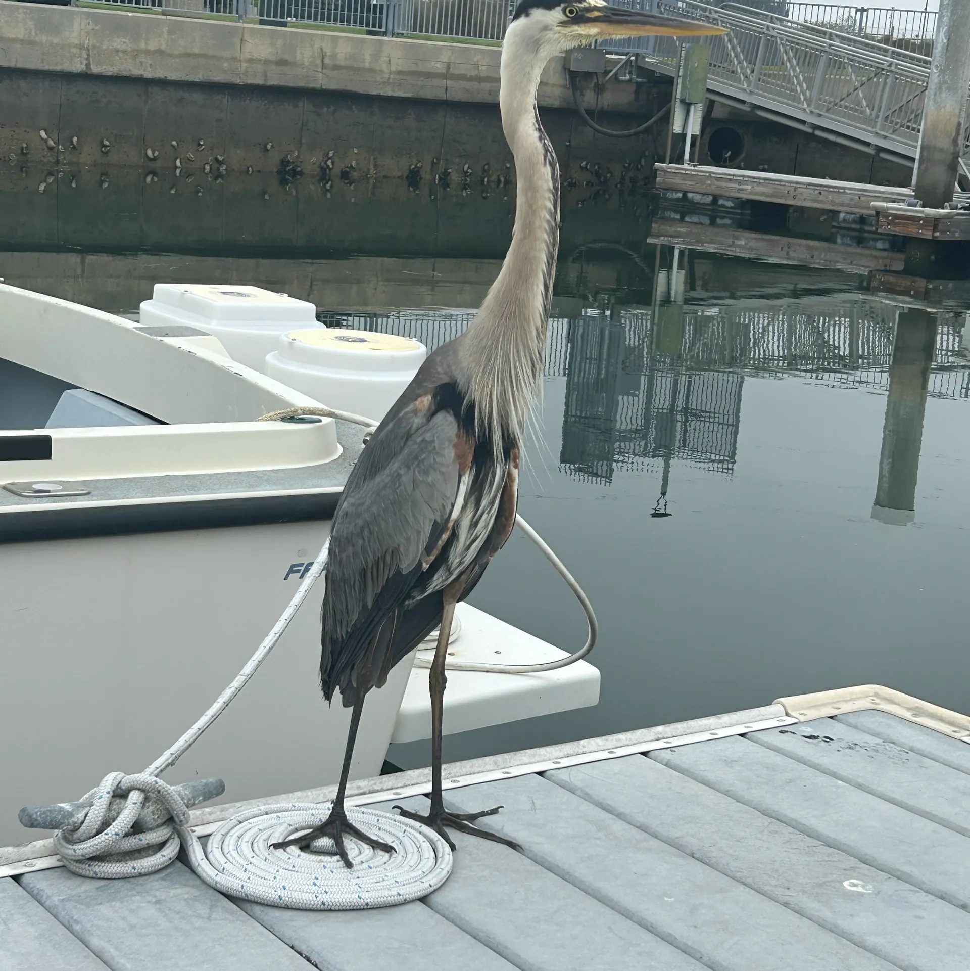 2020 Key West 239 Family Sportsman. Easy to control, reliable and safe