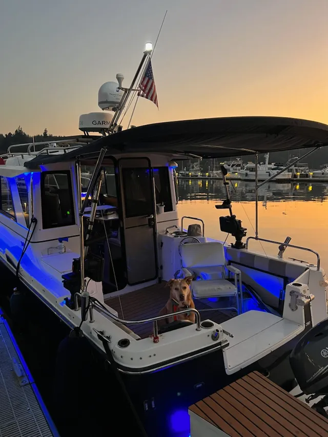 Rent a cruiser in Seattle, WA near me