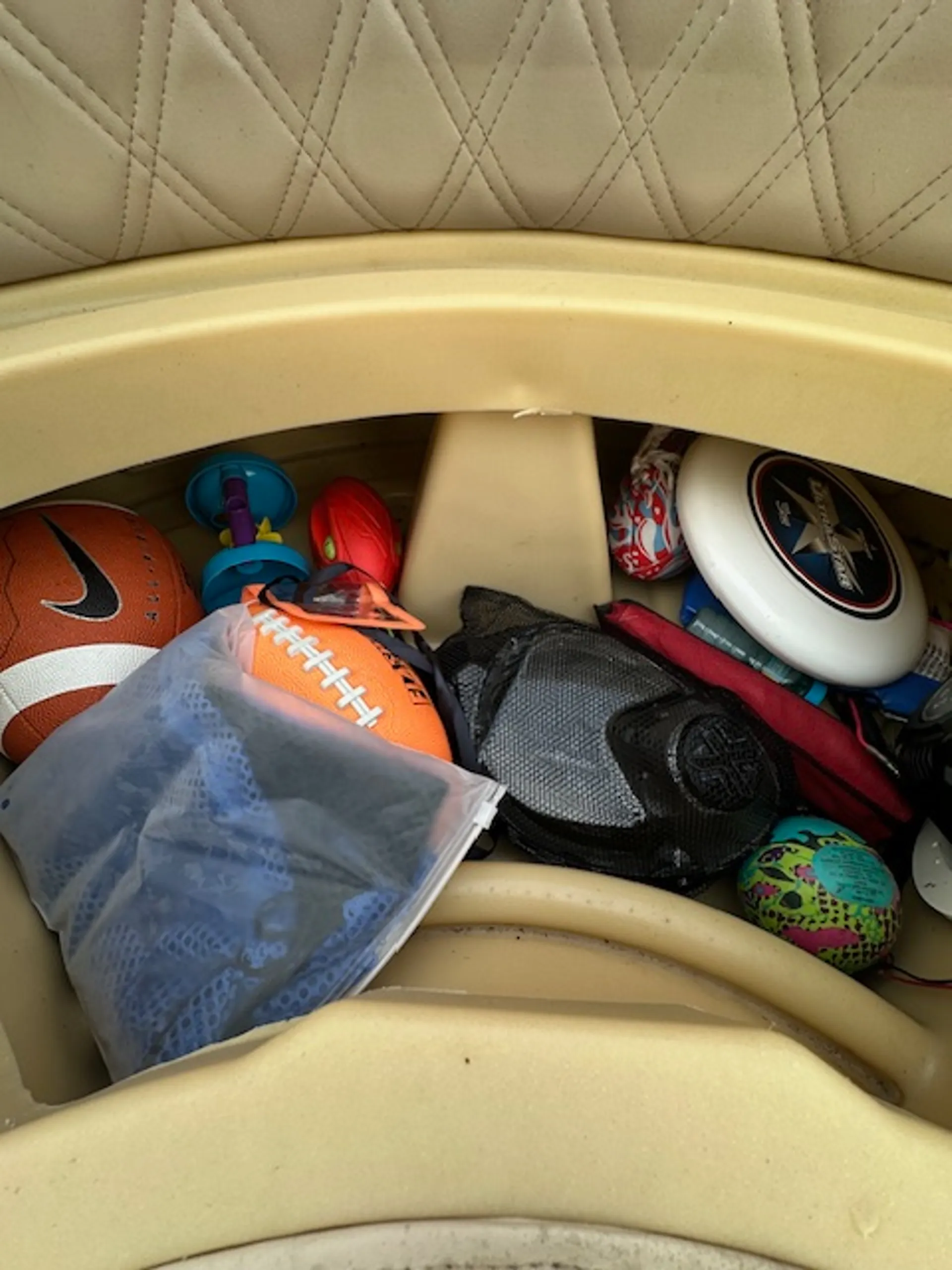 17' FISH SCALLOP SWIM WITH MANATEES