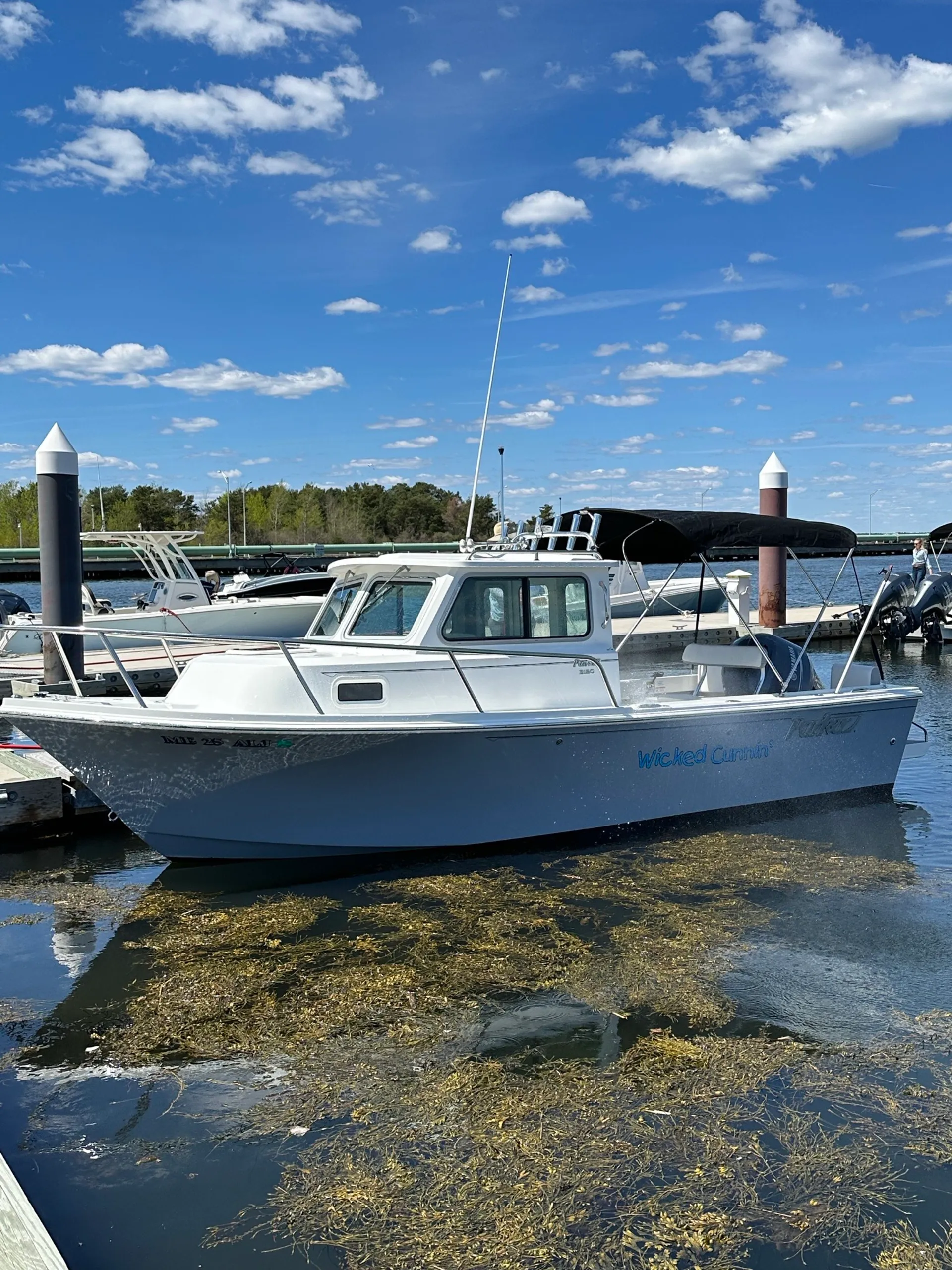 boat