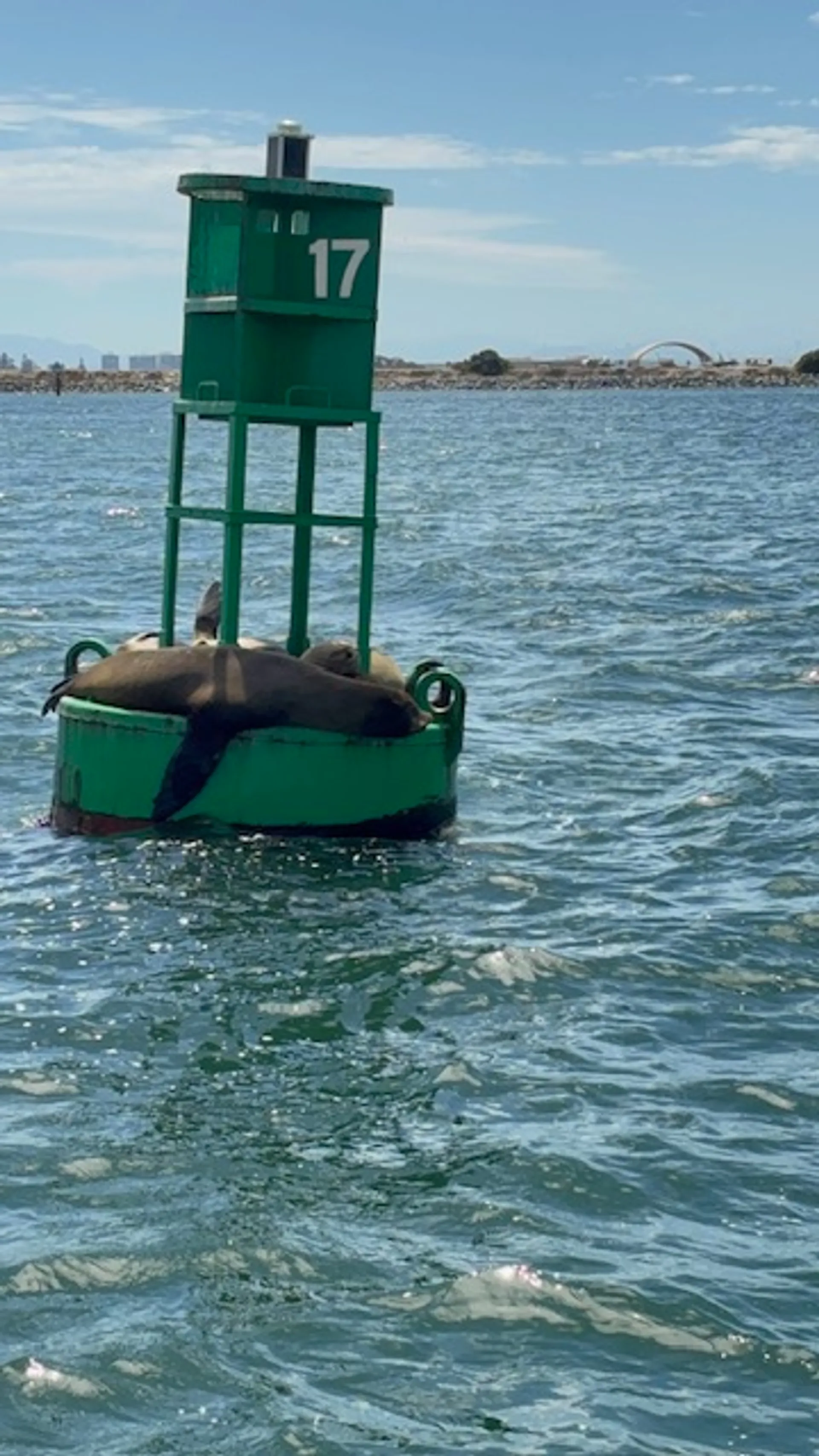 Relaxing Cruises on the Bay and Coast