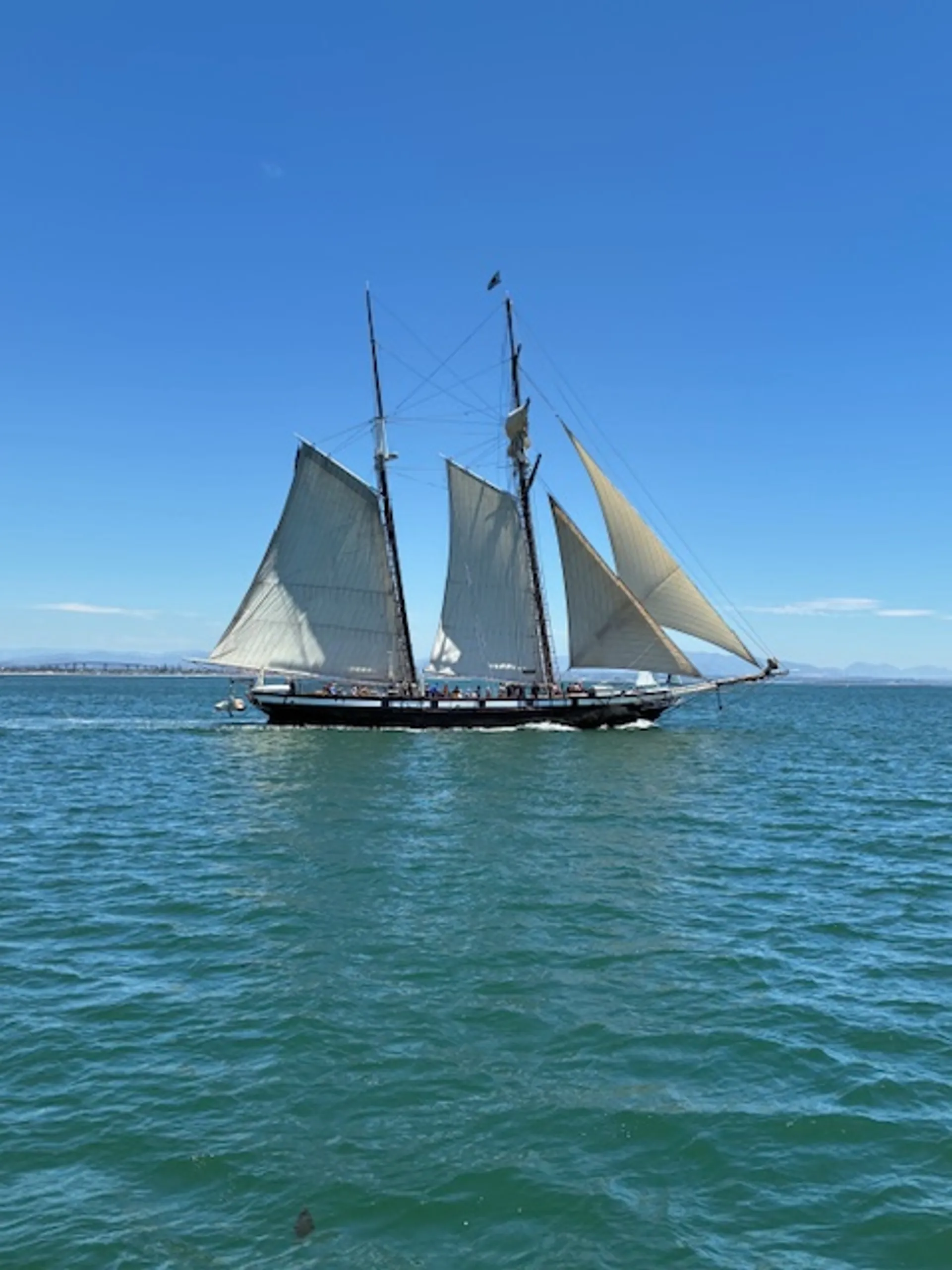 Relaxing Cruises on the Bay and Coast