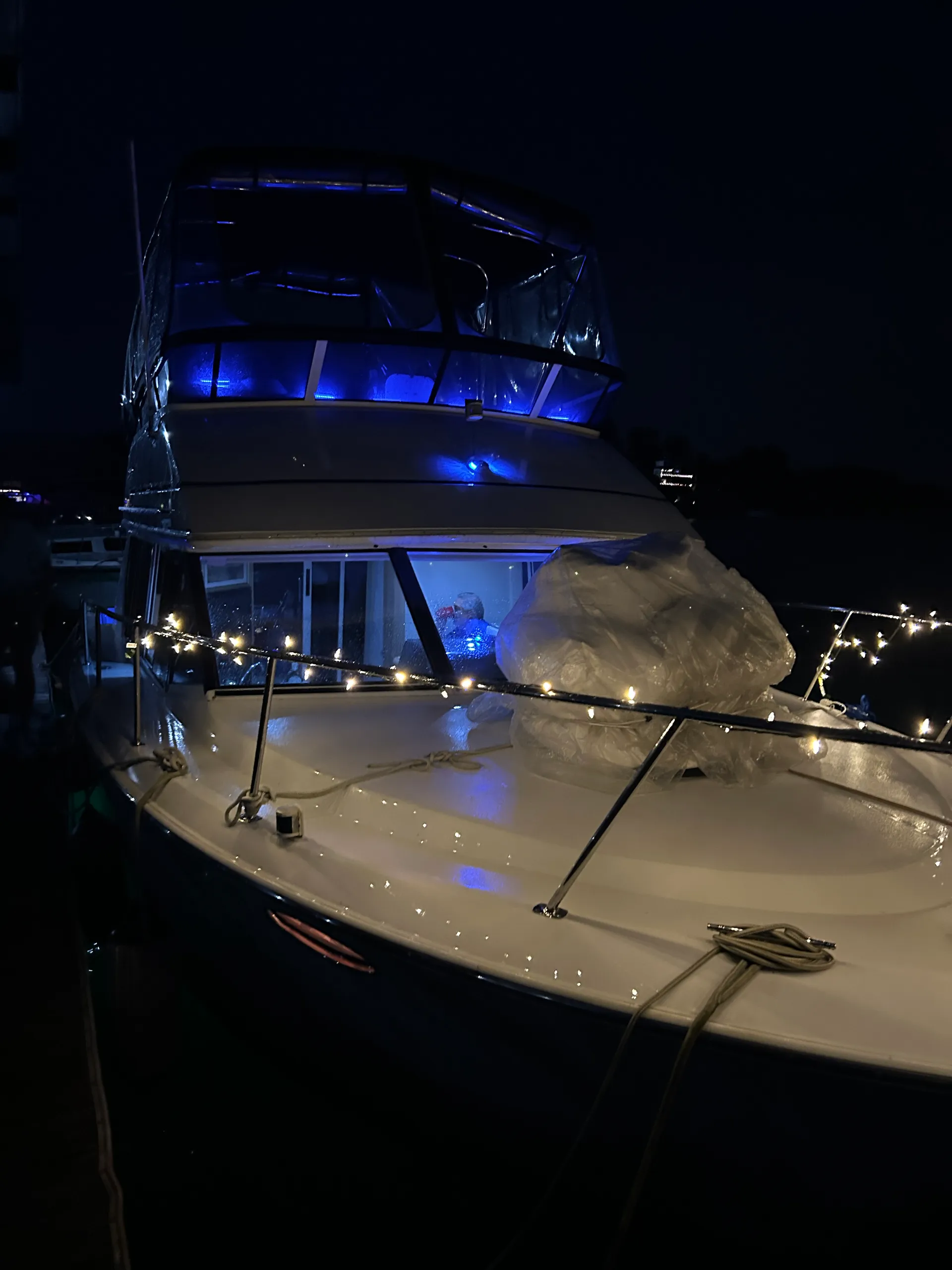 Carver Yacht for charter on Lake Lanier - special requests accomodated