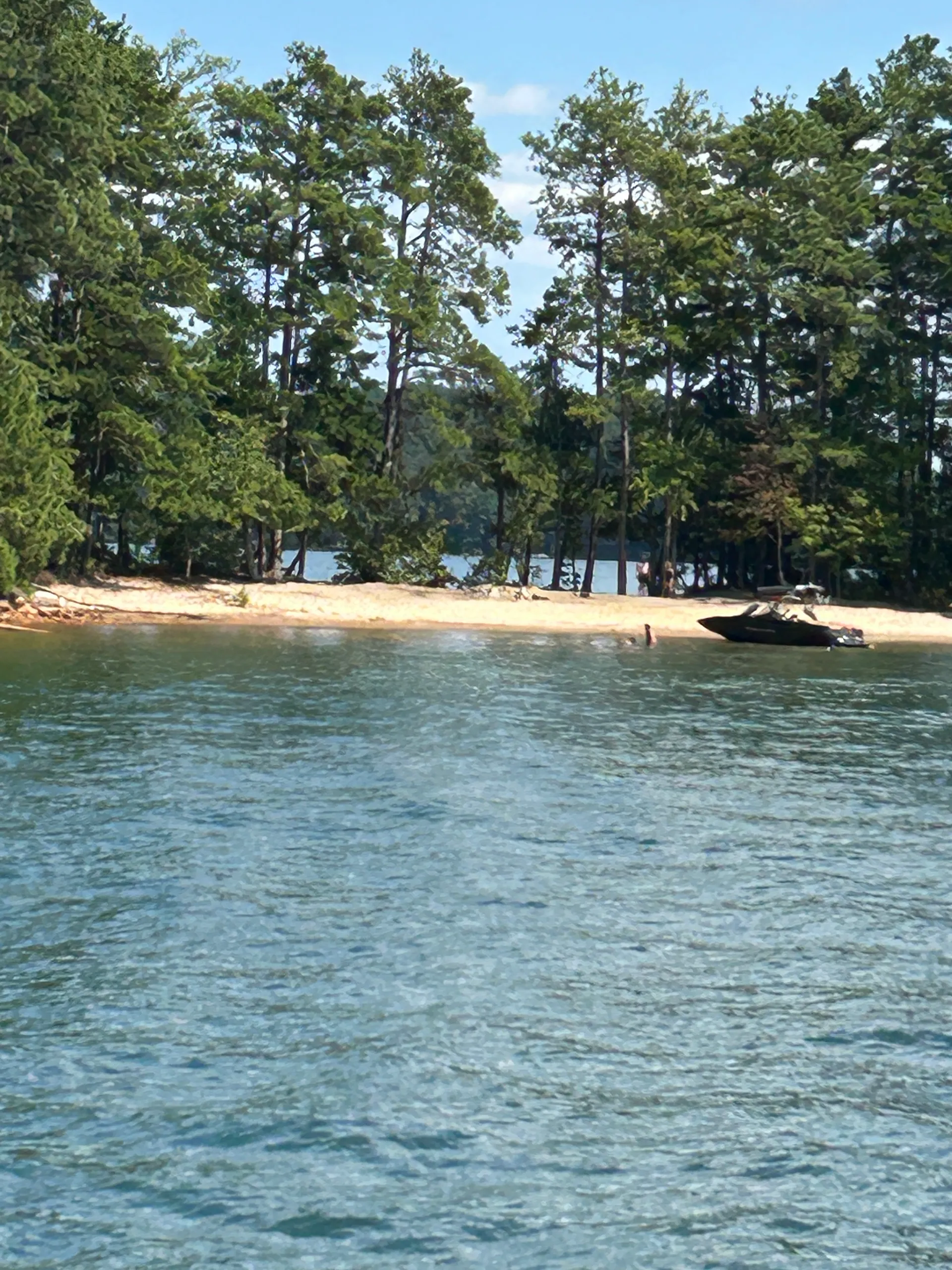 Carver Yacht for charter on Lake Lanier - special requests accomodated