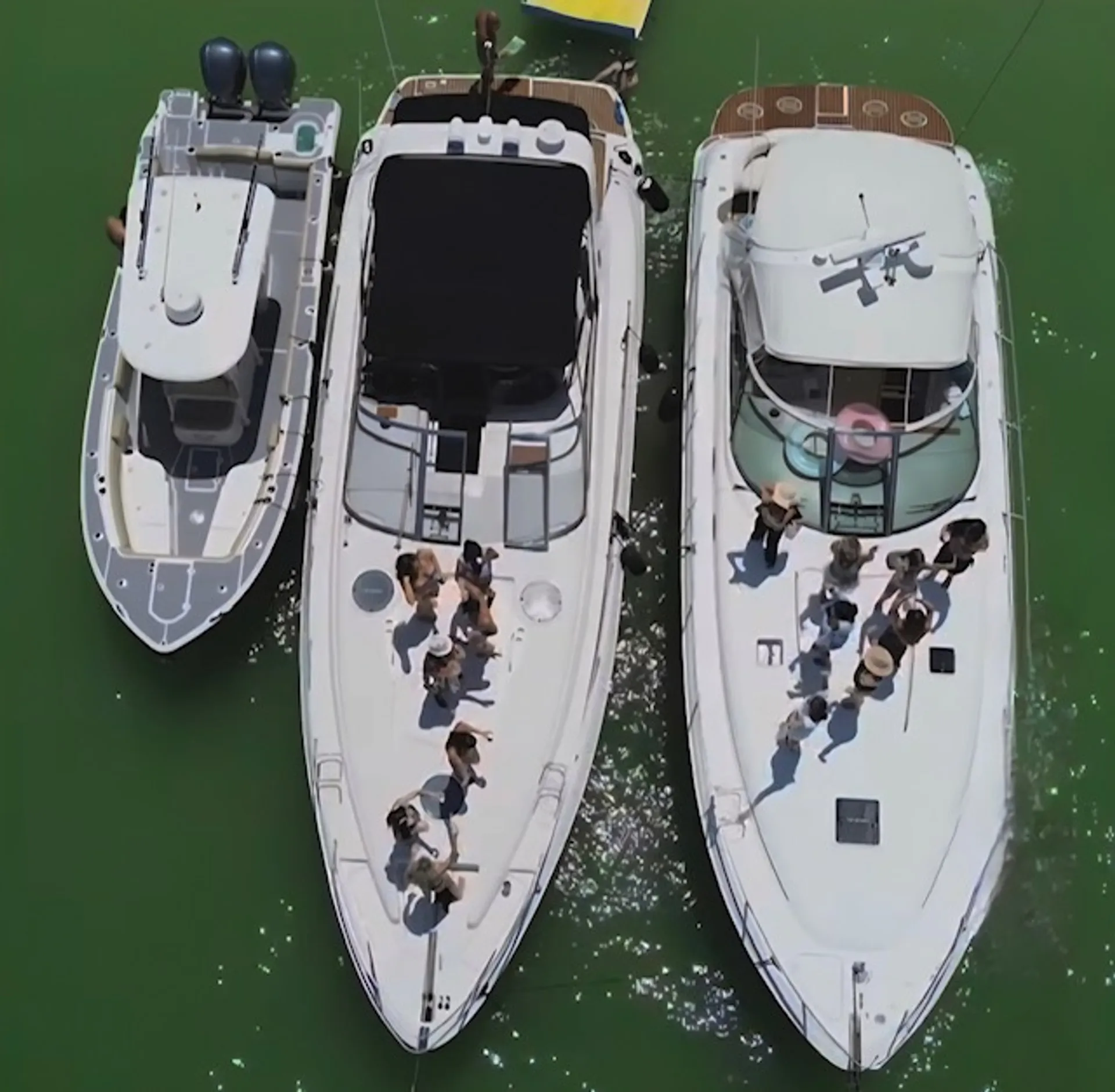 4160 Regal Yacht - Best Value in St. Pete!