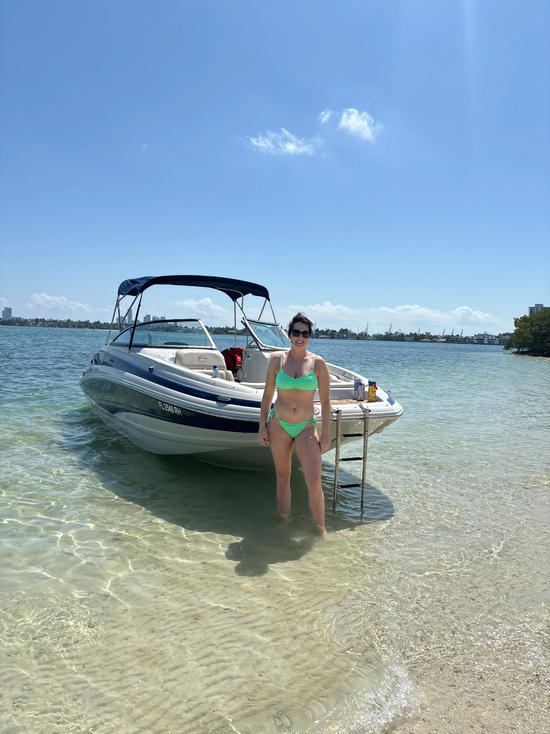 Miami: Celebrity mansions home tour and Private island charter