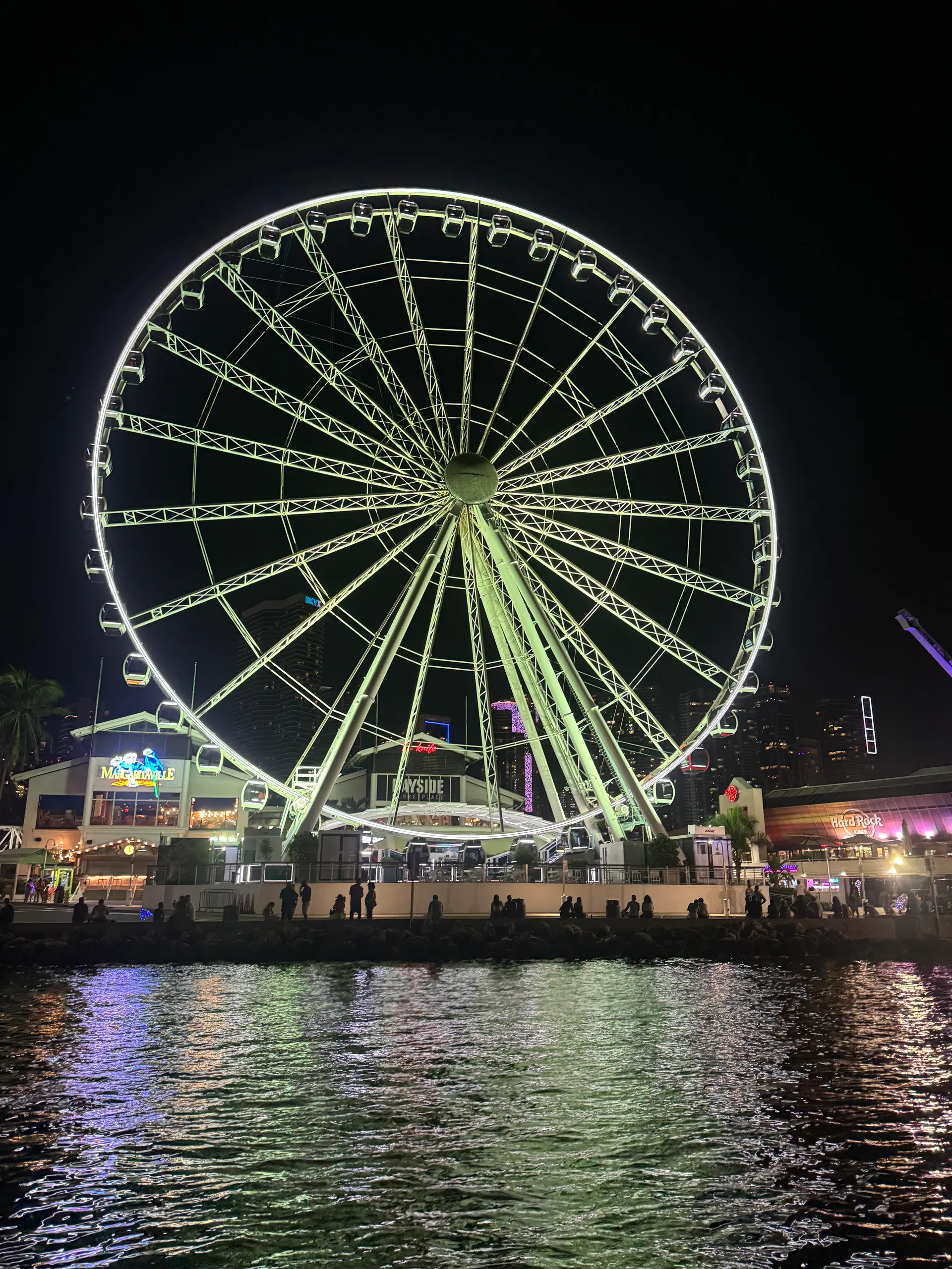 Miami: Celebrity mansions home tour and Private island charter