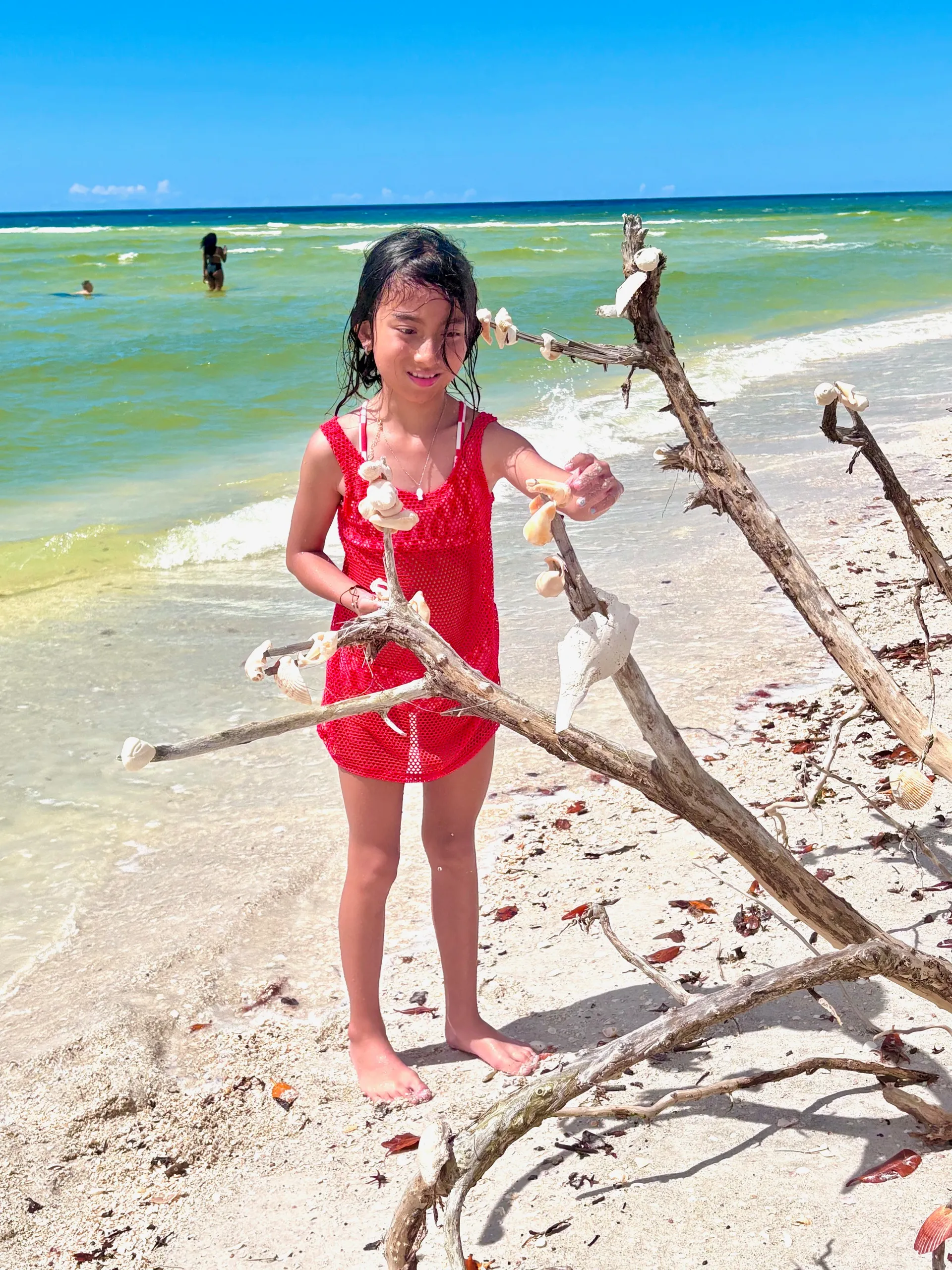 Tortuga Boat Adventures