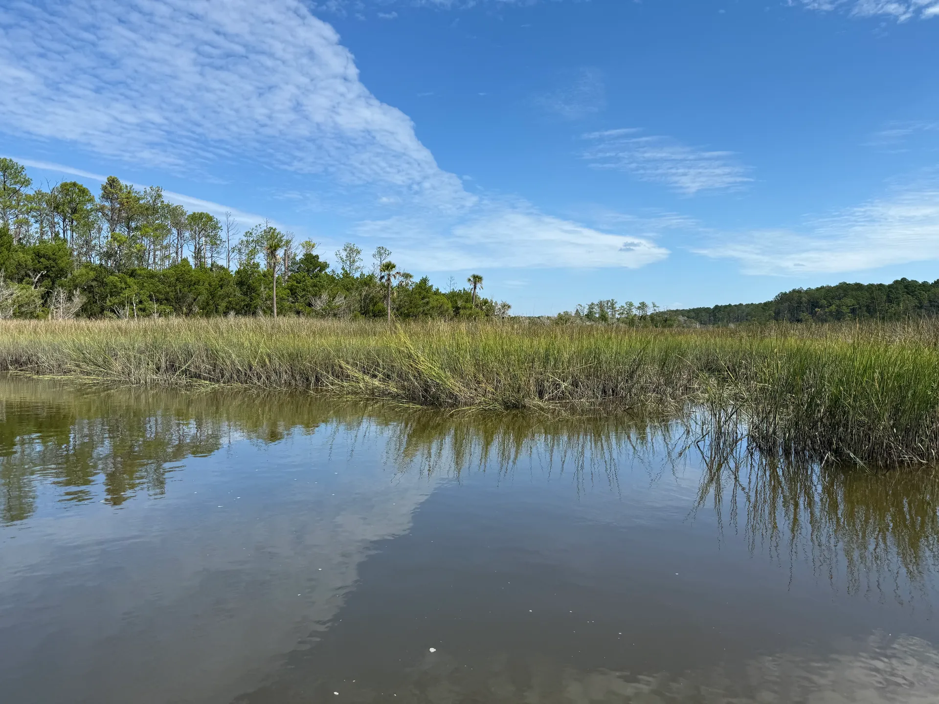 Luxury 28 Foot Charleston Boat Charter