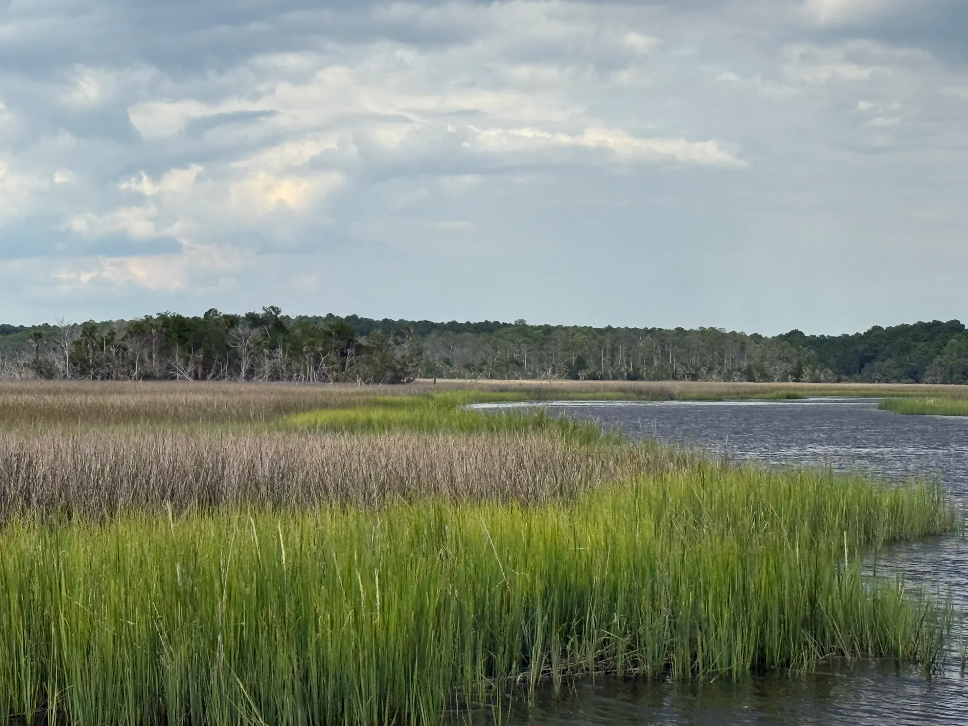 Luxury 28 Foot Charleston Boat Charter