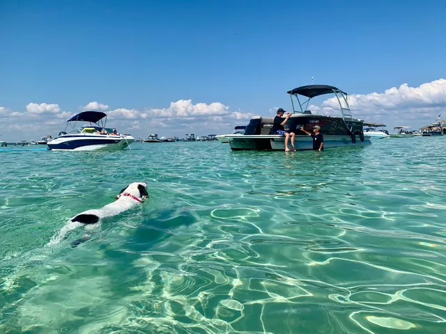 Rent a SILVER WAVE pontoon in Destin, FL near me