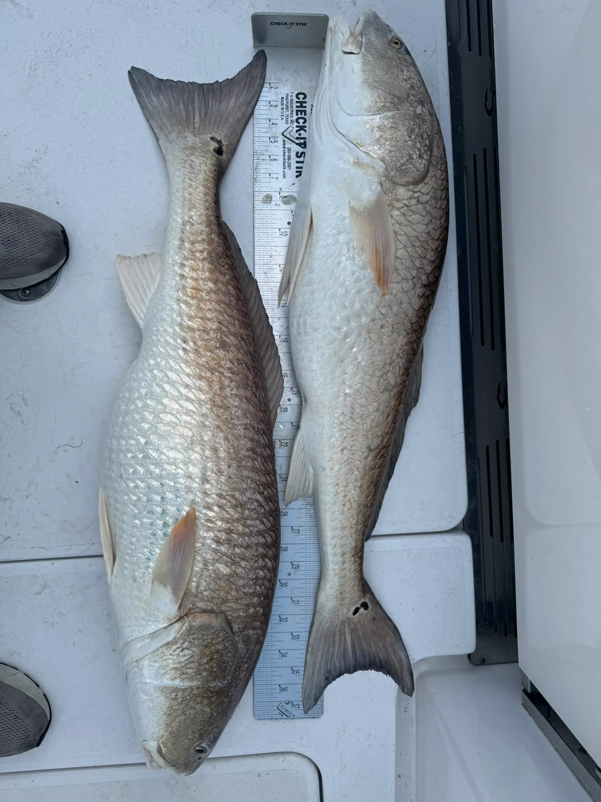 Cruise in Comfort – 2025 Sportsman 32' Seakeeper